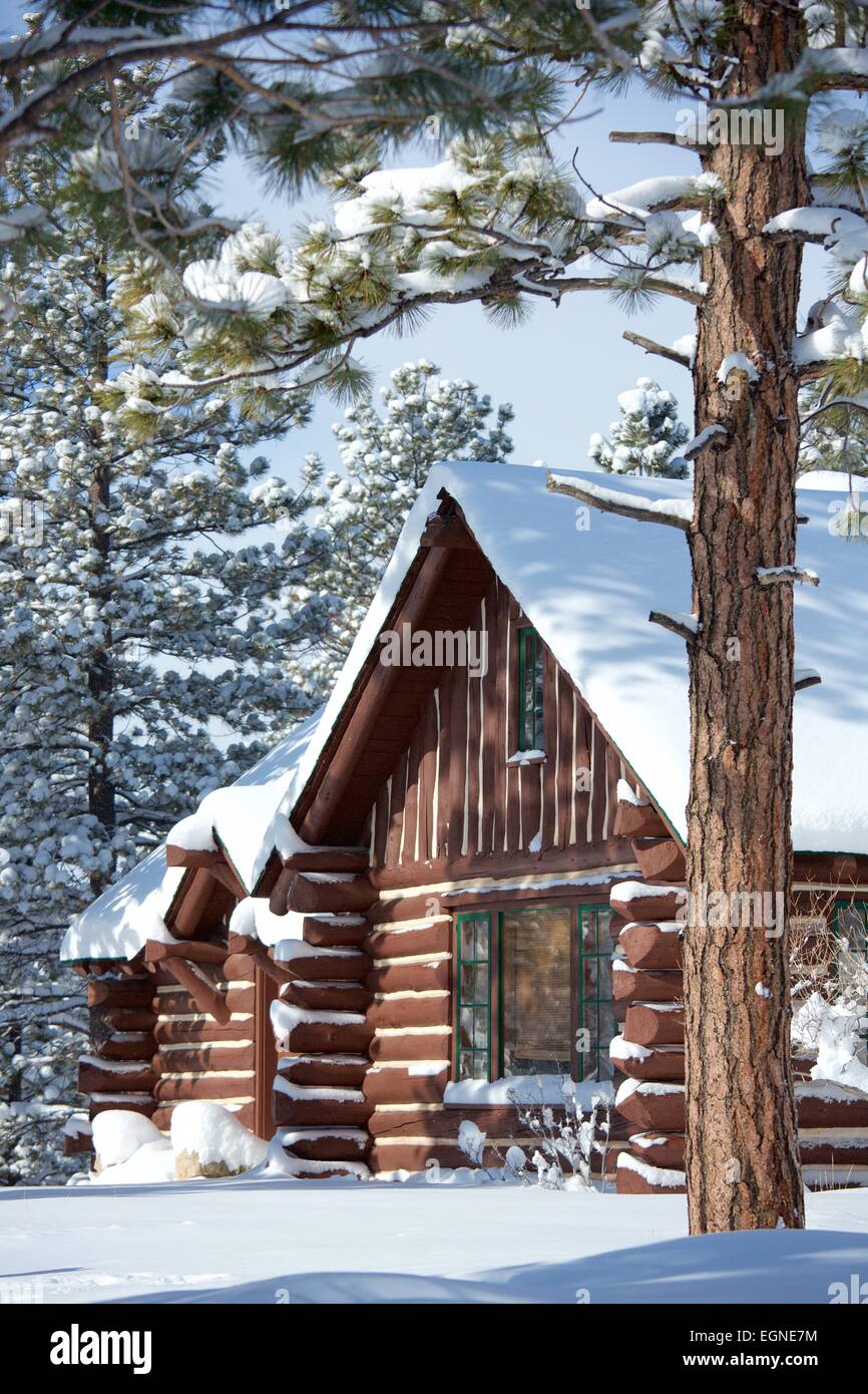 Cabin In Bryce Canyon National Park In Utah United States In The