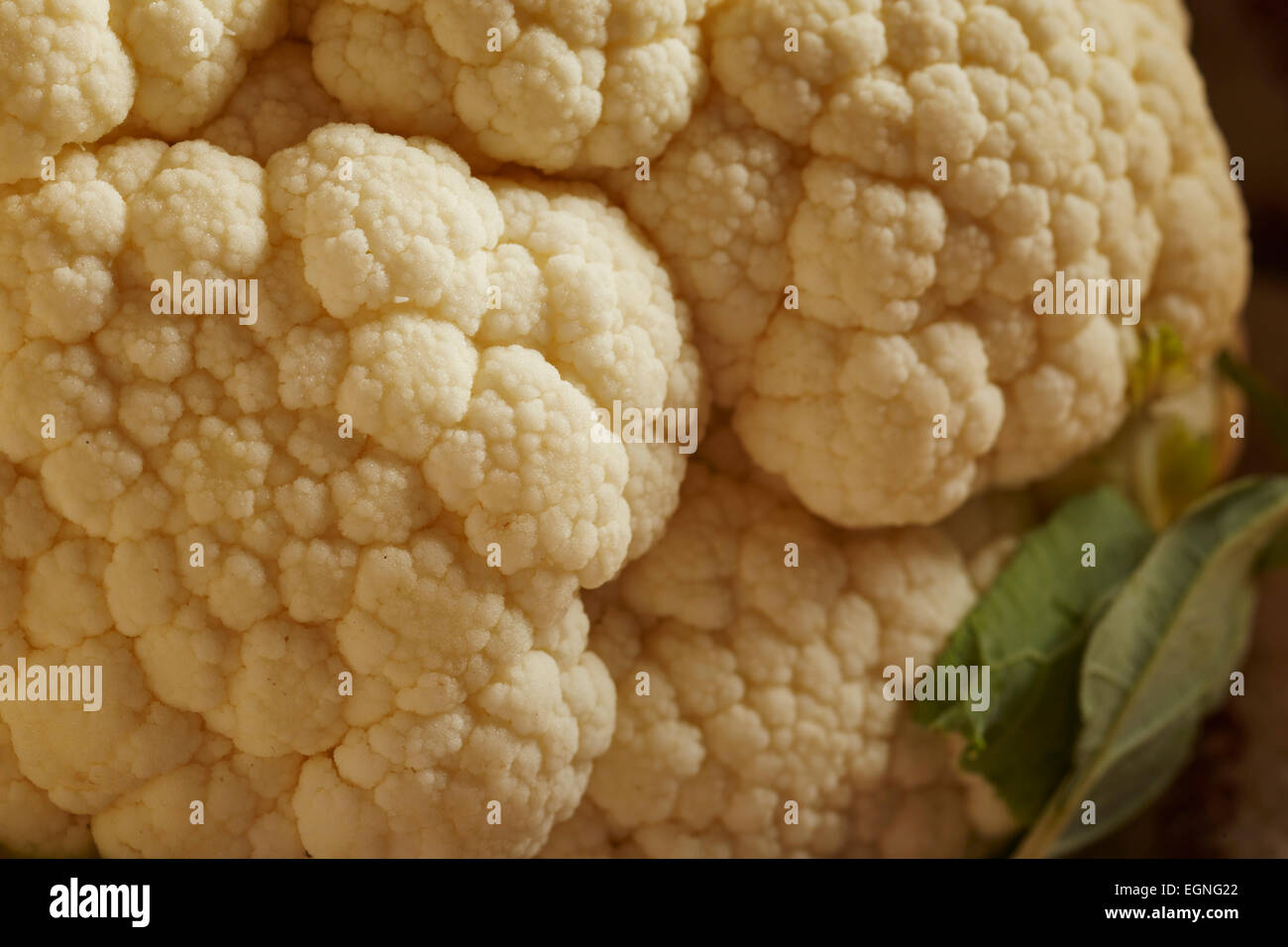 Whole head of cauliflower Stock Photo