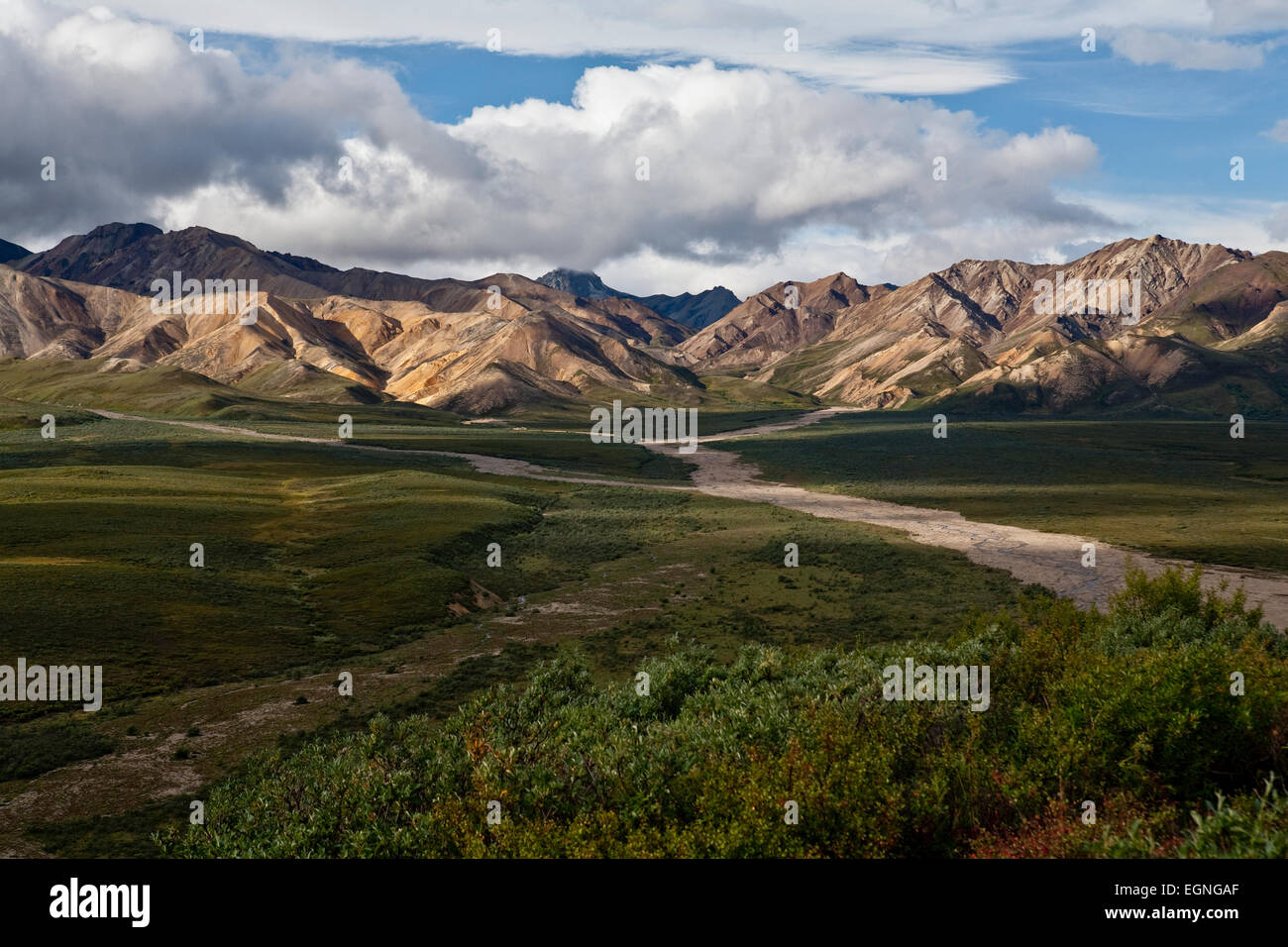 View from Polychrome Pass in Denali National Park, Alaska Stock Photo