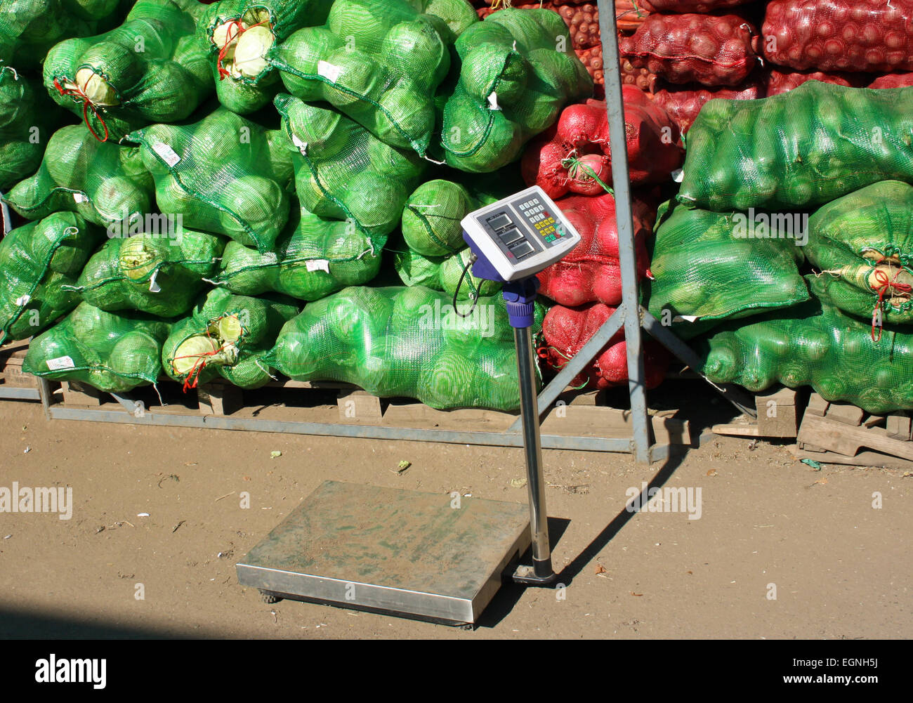 Fresh vegetables in bags in a vegetable warehouse Stock Photo Alamy