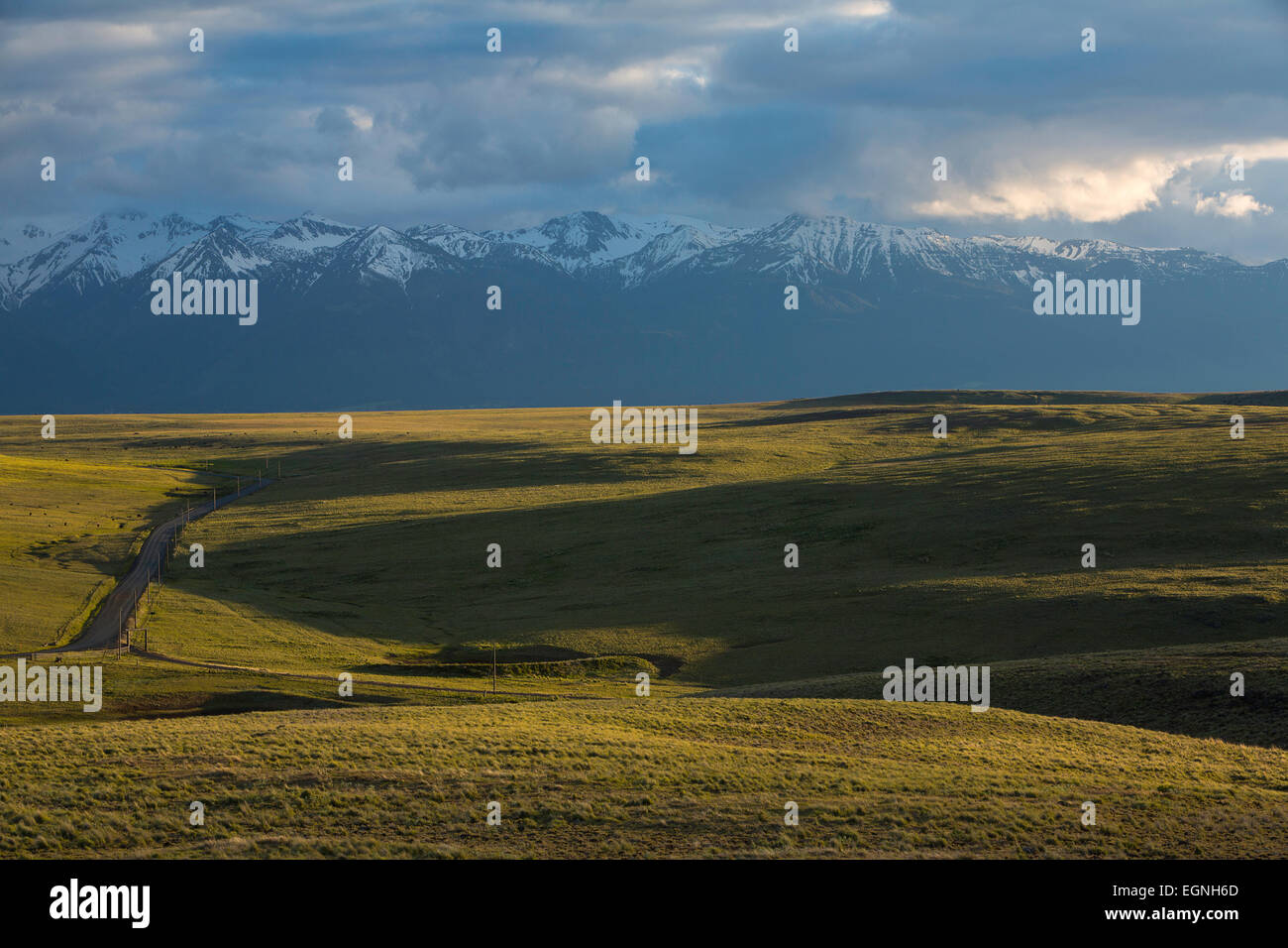 Grazing land and the Wallowa Mountains near the Zumwalt Prairie of