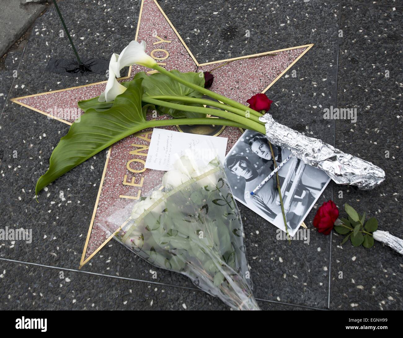 Los Angeles, California, USA. 27th Feb, 2015. People pay their respects with flowers and photographs at the Hollywood Walk of Fame star of Leonard Nimoy. Nimoy, famous for playing Mr. Spock in 'Star Trek' died Friday of end-stage chronic obstructive pulmonary disease. He was 83. © Ringo Chiu/ZUMA Wire/Alamy Live News Stock Photo