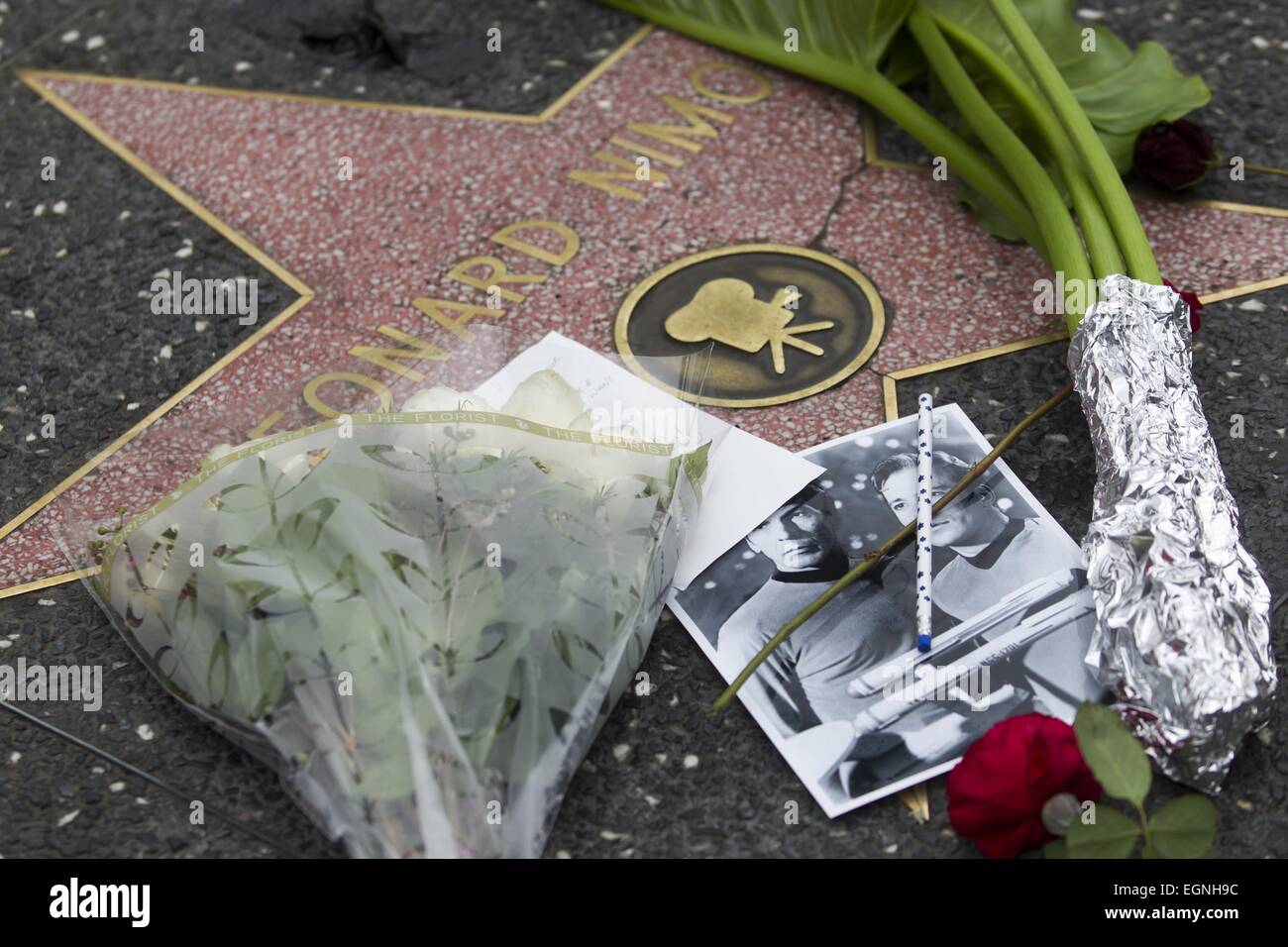 Los Angeles, California, USA. 27th Feb, 2015. People pay their respect with flowers and photographs at the Hollywood Walk of Fame star of Leonard Nimoy. Nimoy, famous for playing Mr. Spock in 'Star Trek' died Friday of end-stage chronic obstructive pulmonary disease. He was 83. © Ringo Chiu/ZUMA Wire/Alamy Live News Stock Photo