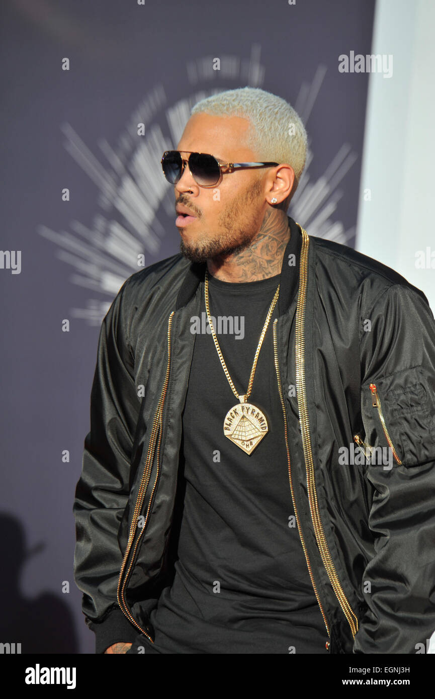 LOS ANGELES, CA - AUGUST 24, 2014: Chris Brown at the 2014 MTV Video Music Awards at the Forum, Los Angeles. Stock Photo