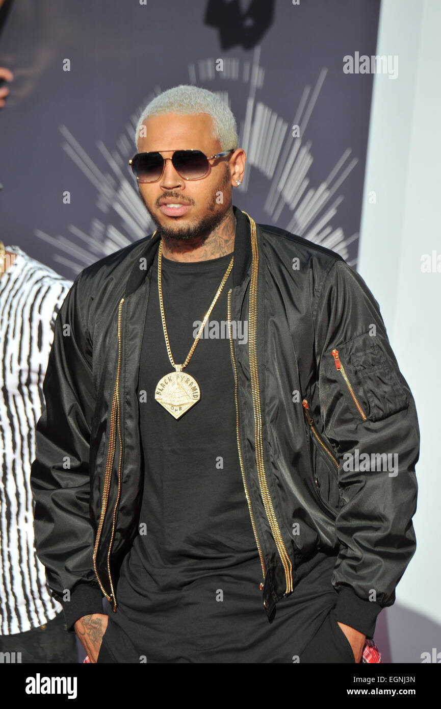 LOS ANGELES, CA - AUGUST 24, 2014: Chris Brown at the 2014 MTV Video Music Awards at the Forum, Los Angeles. Stock Photo