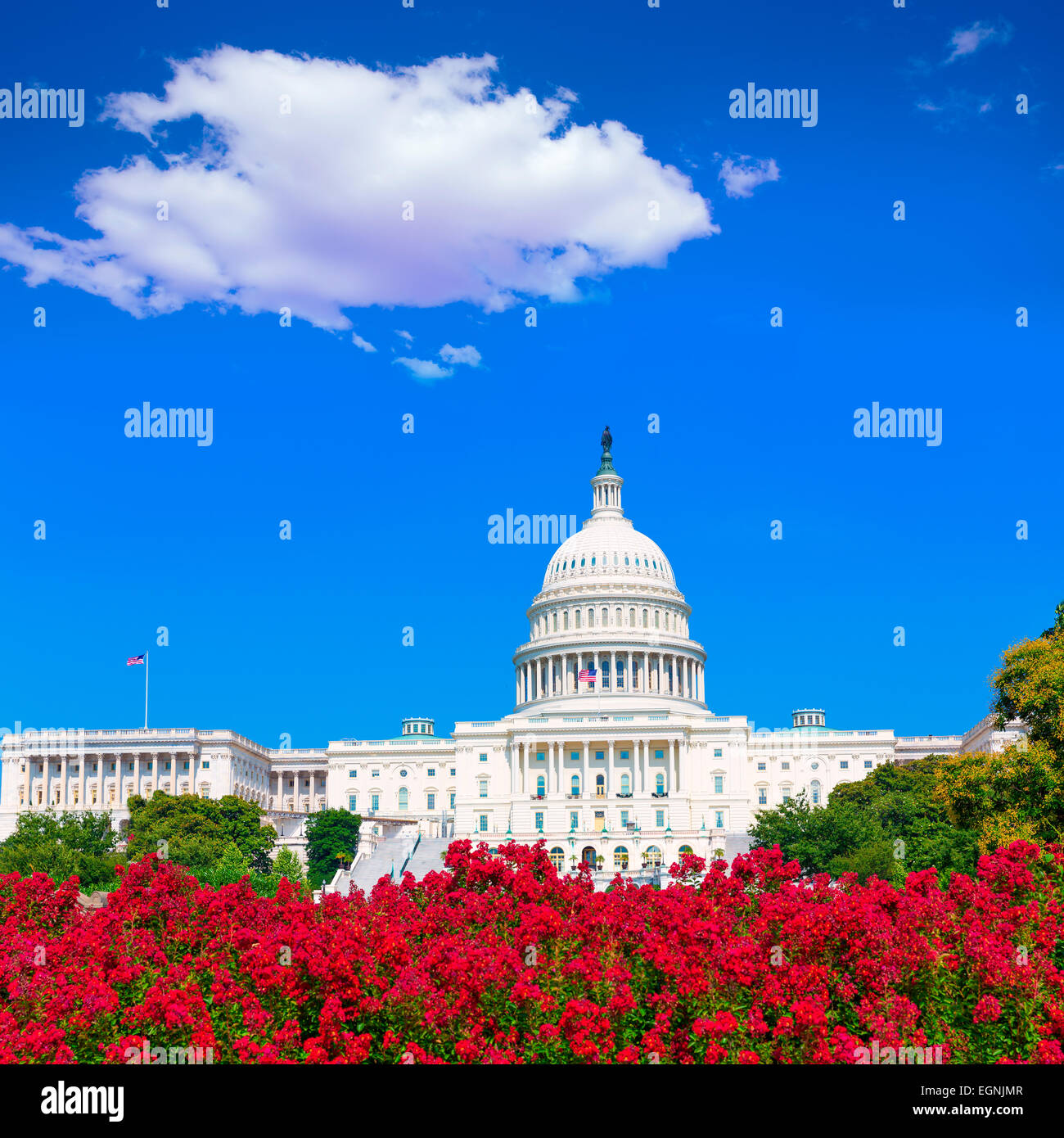 Capital building washington dc flowers hires stock photography and