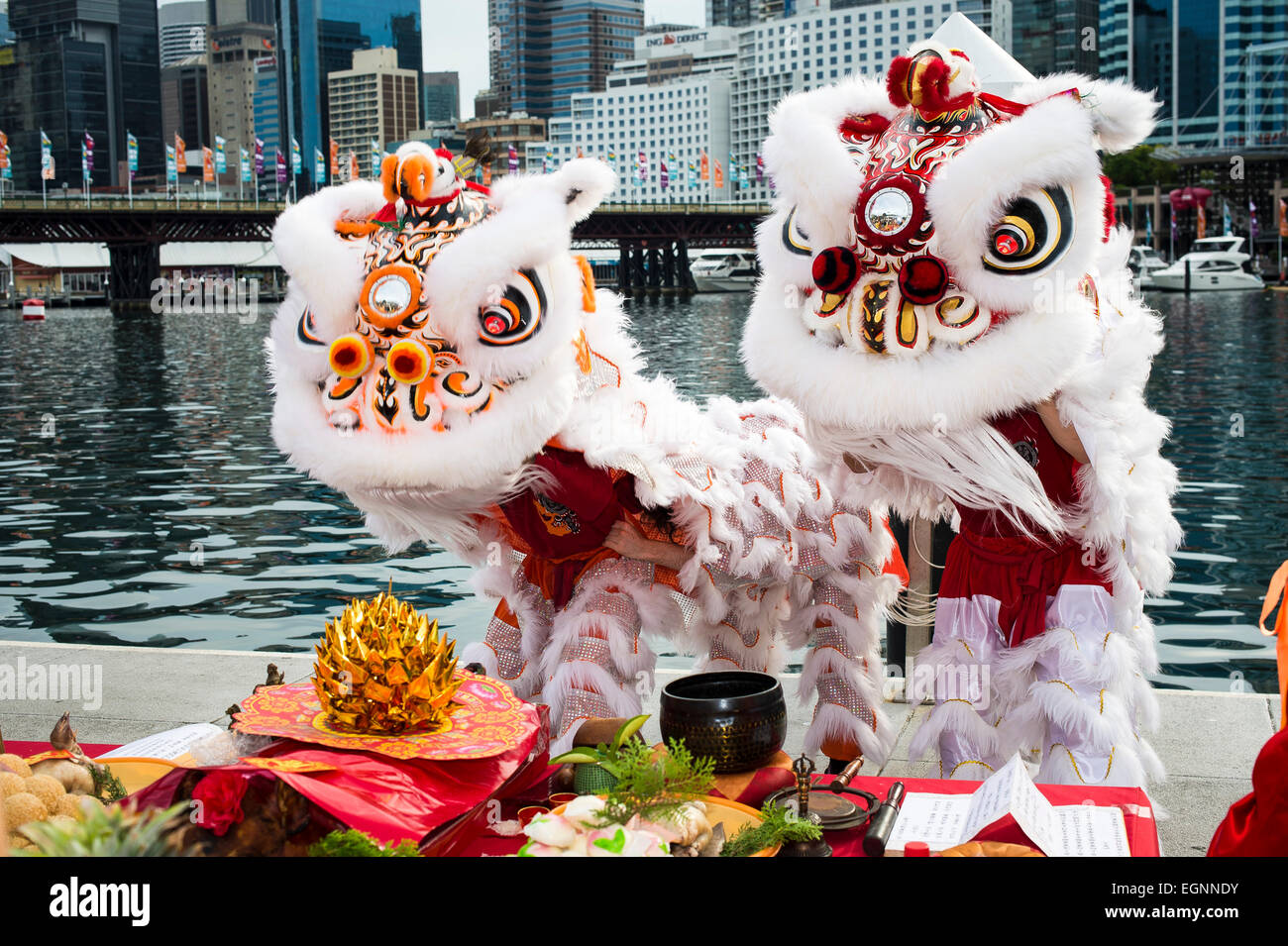 chinese new year sydney dragon boat races