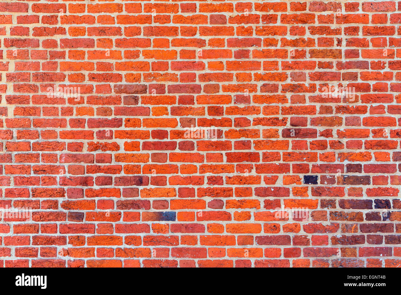 townhouses brick wall texture detail Washington DC in USA