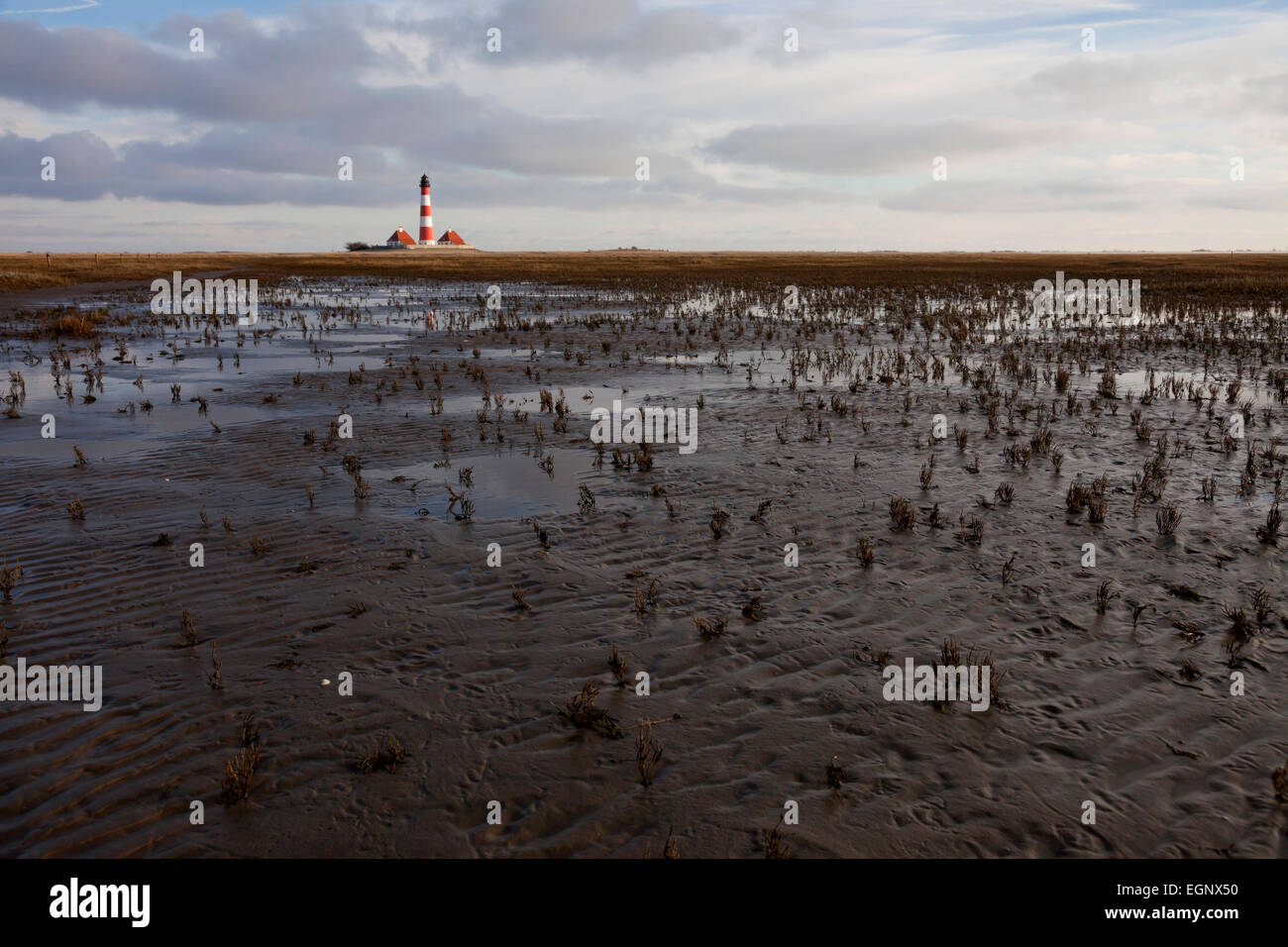 Westerheversand lighthouse, Salt marsh and mudflats at  national park Wadden Sea, Westerhever, Schleswig-Holstein, Germany, Stock Photo
