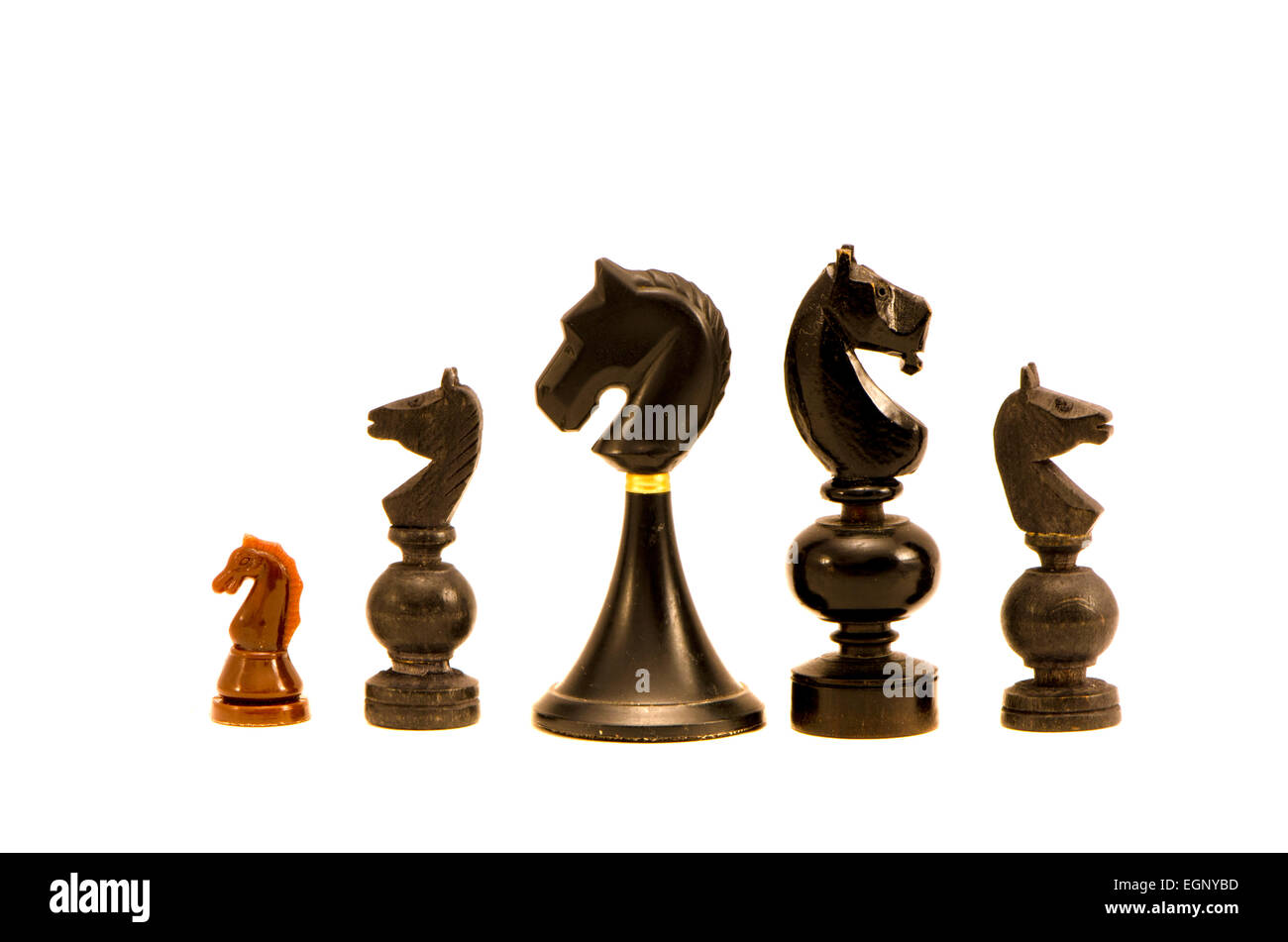 various Black horse chess pieces isolated on white background. Five horses  Stock Photo - Alamy