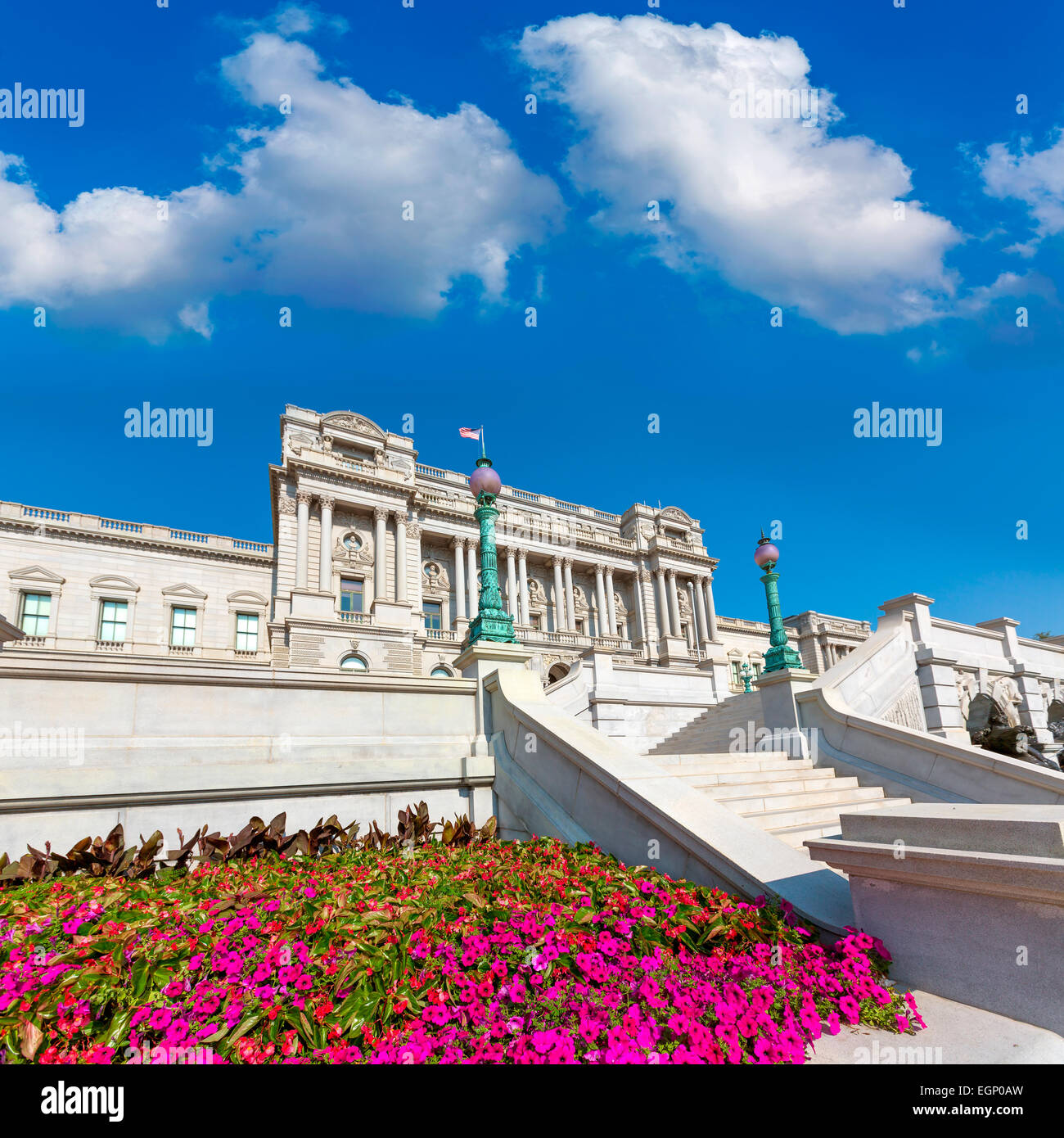 My Image 24