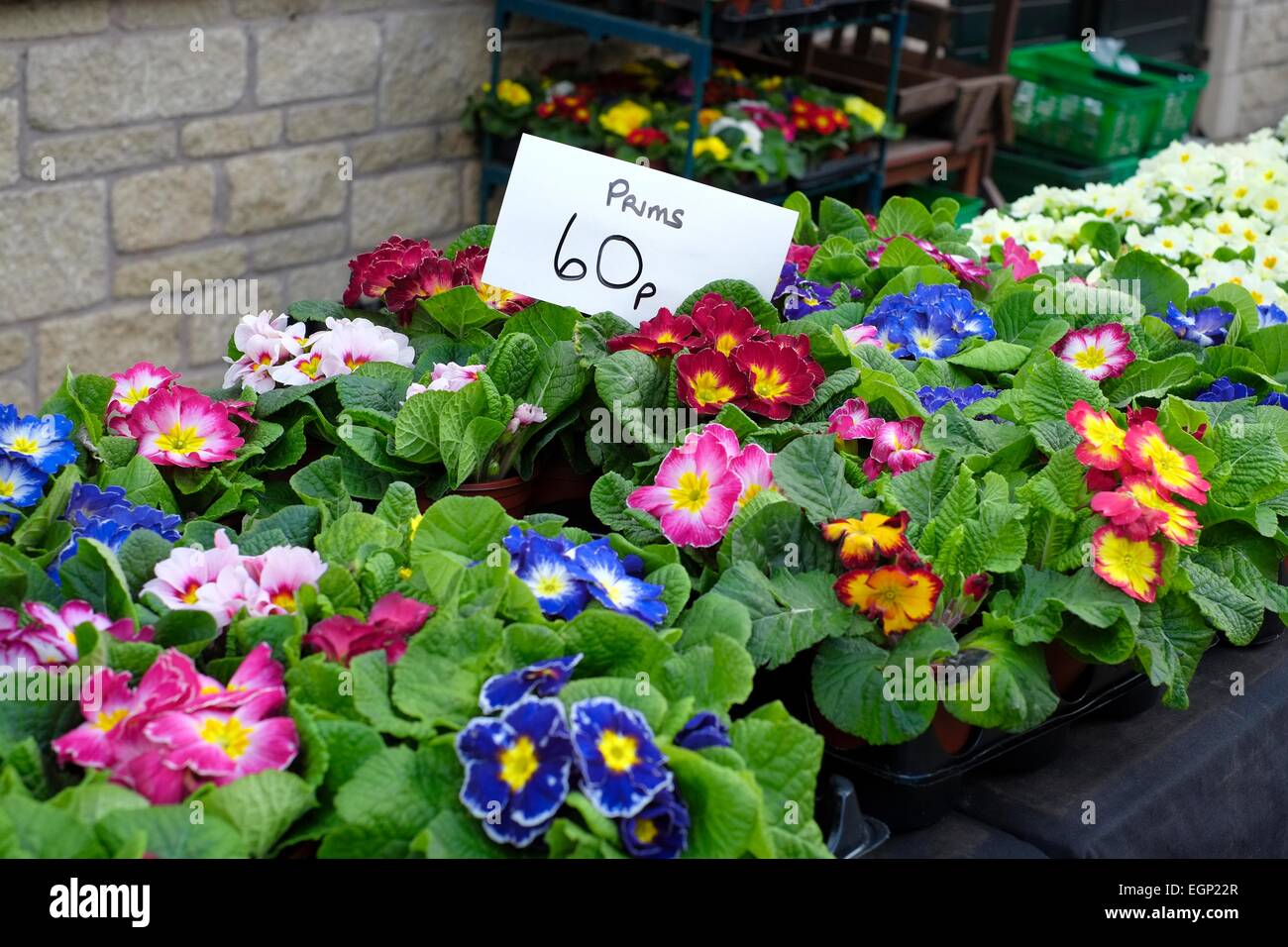 flowers for sale on an outdoor stall England UK Stock Photo Alamy