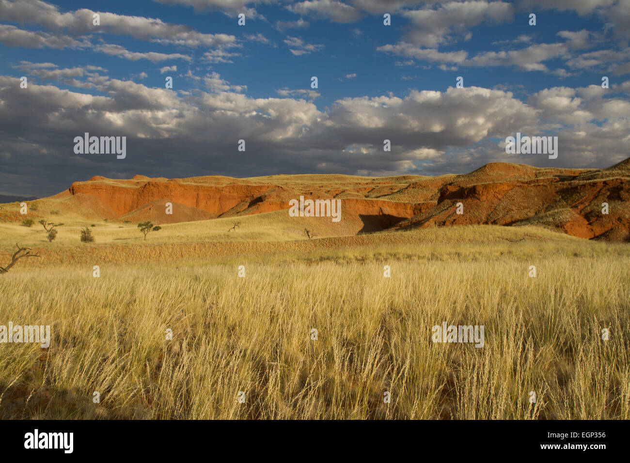Namibia Cliffs Scenic cliff in the Sossusvlei park, Namibia Stock Photo - Alamy