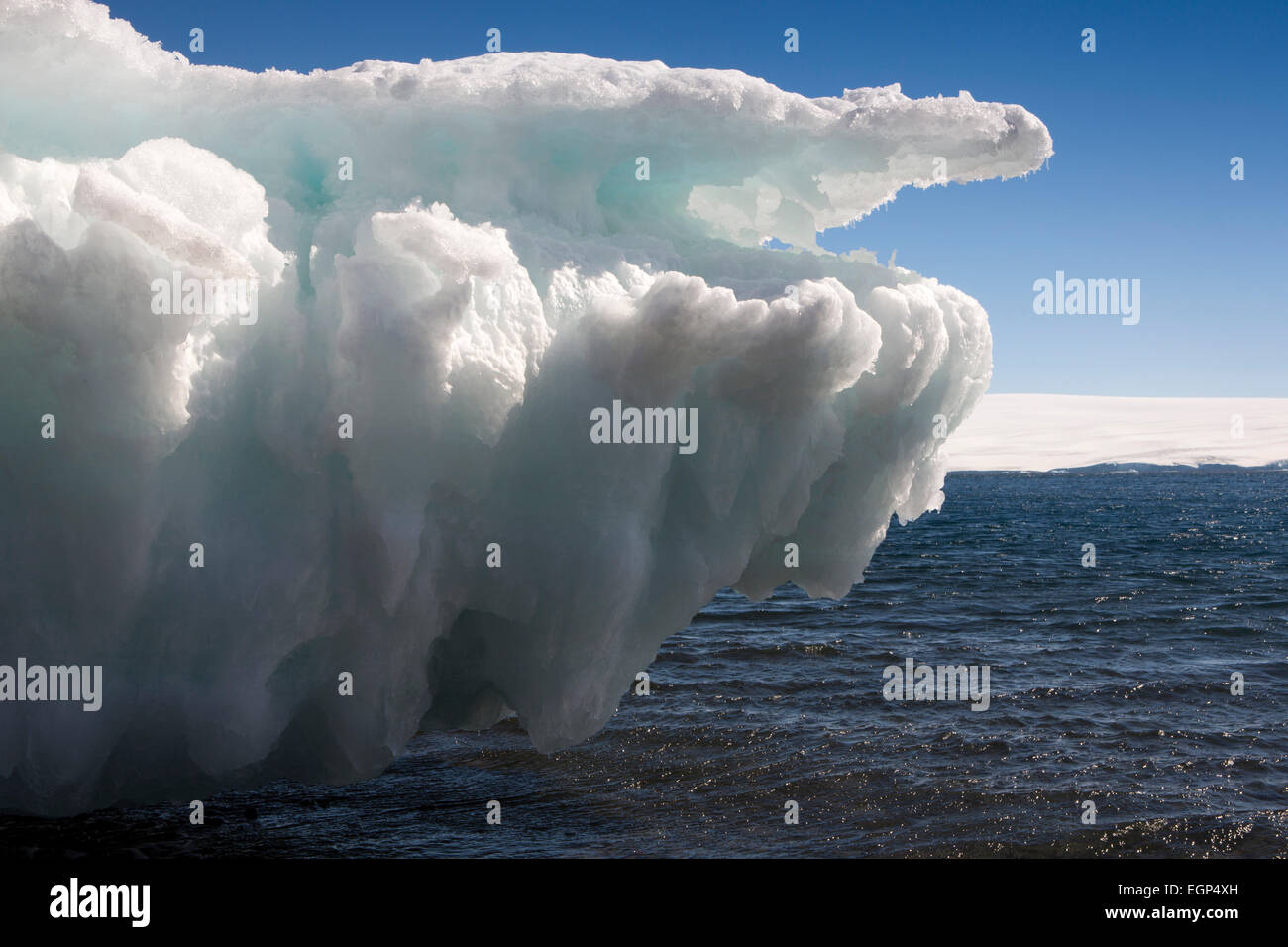 Antarctica, Weddell Sea Paulet Island, iceberg on coast Stock Photo - Alamy