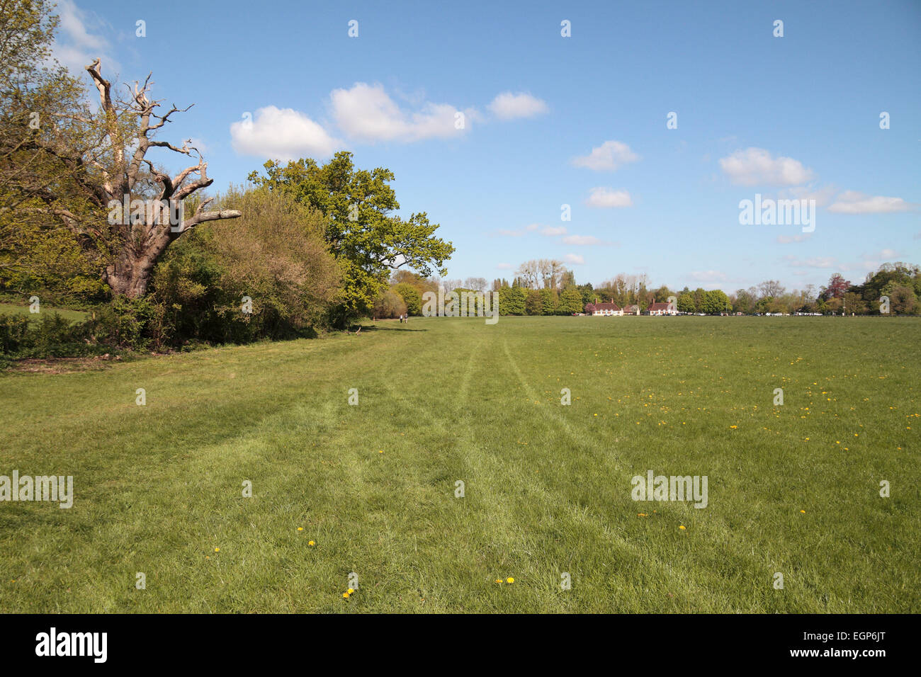 The meadows at Runnymede, site of the signing of the Magna Carta, 1215. Stock Photo