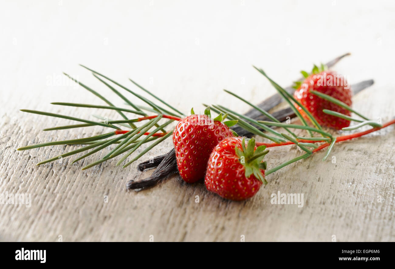 Strawberry, Fragaria cultivar arranged with sprigs of Redbush or Rooibus, Aspalathus linearis and sticks of vanilla pods on pale, distressed, wooden background. Selective focus. Stock Photo