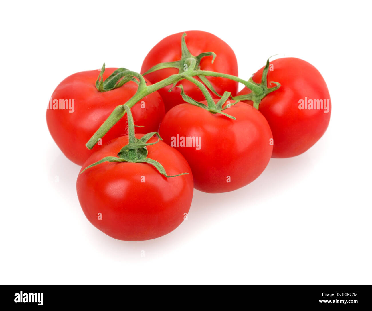 tomato isolated on white background Stock Photo - Alamy