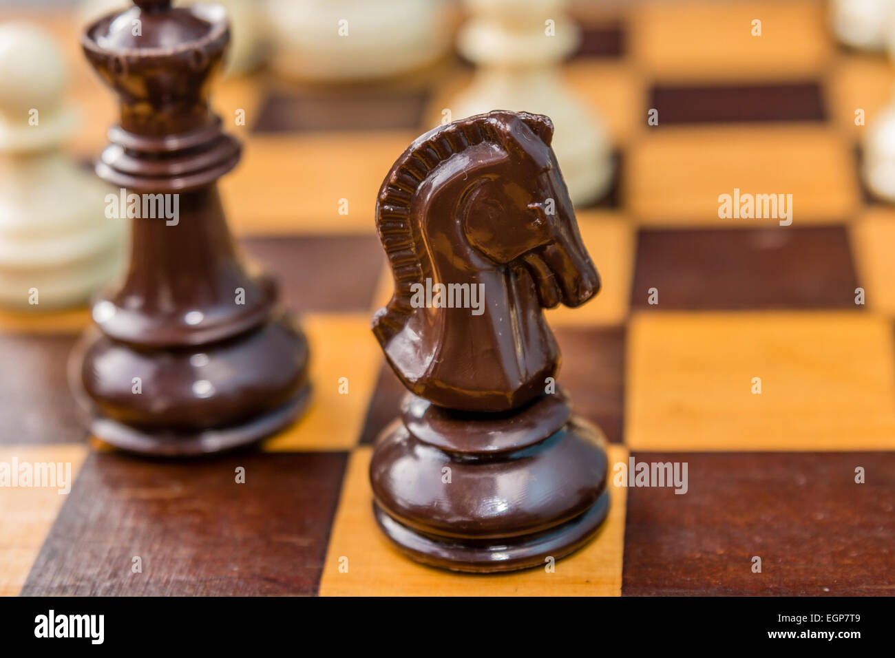 Knight chess piece hires stock photography and images Alamy