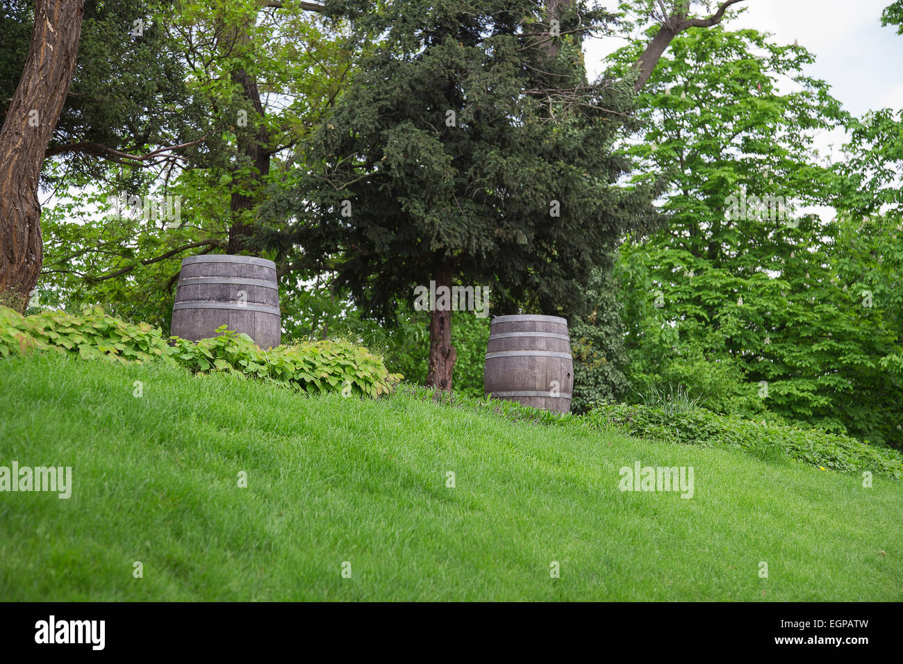 old oak barrel outdoors in the grass and trees Stock Photo