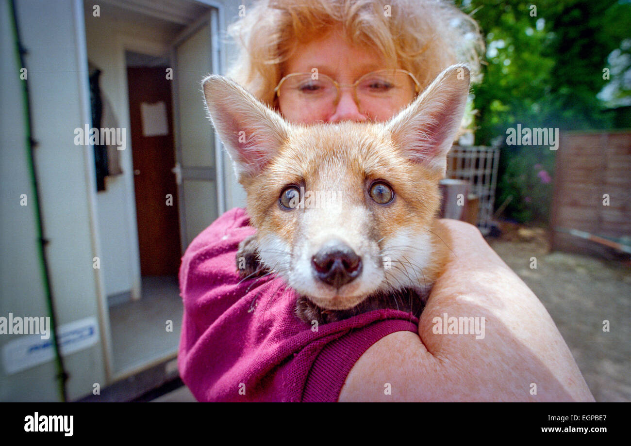 Nature Quest visitor centre in the New Forest Stock Photo Alamy