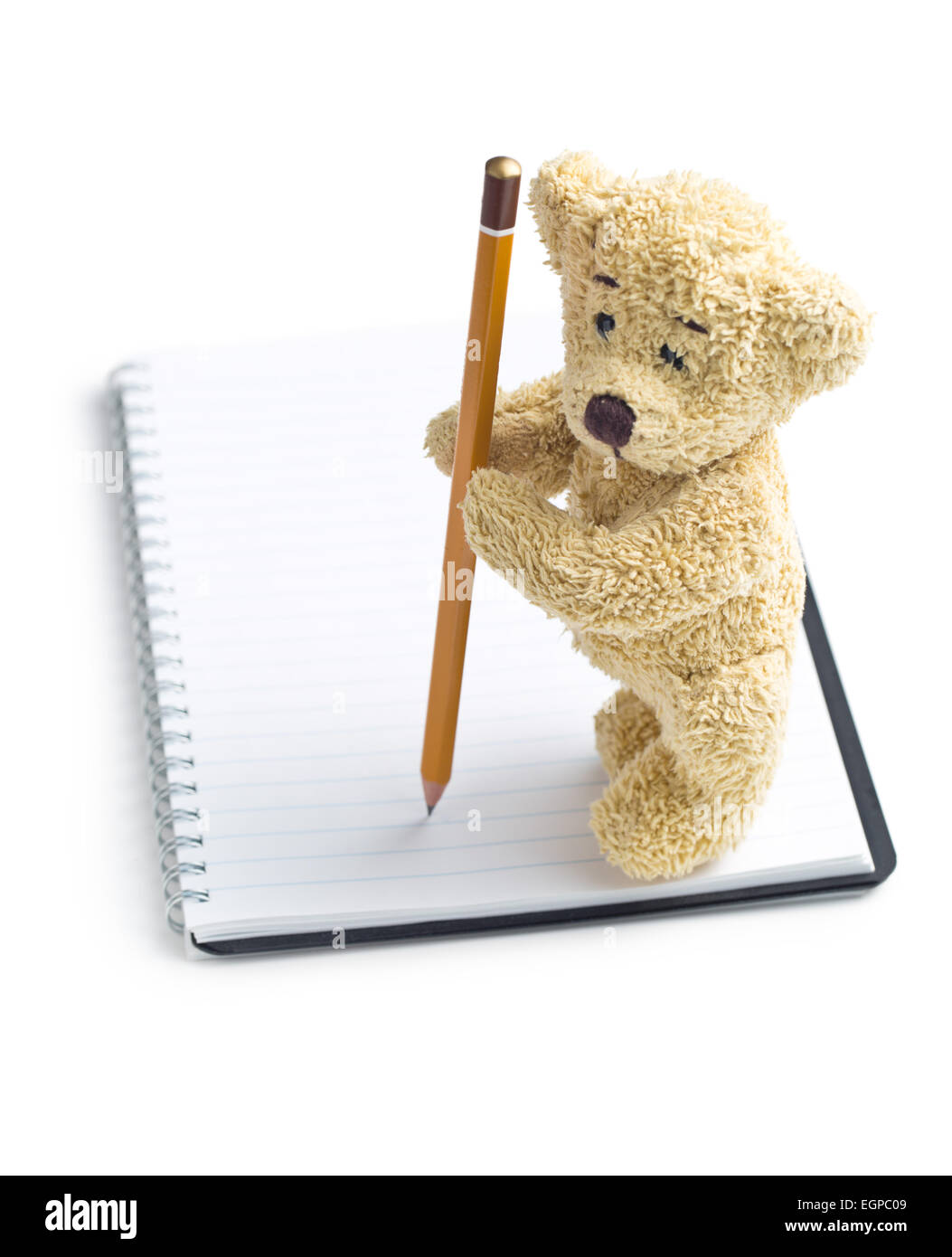 the teddy bear with pencil on blank notebook Stock Photo