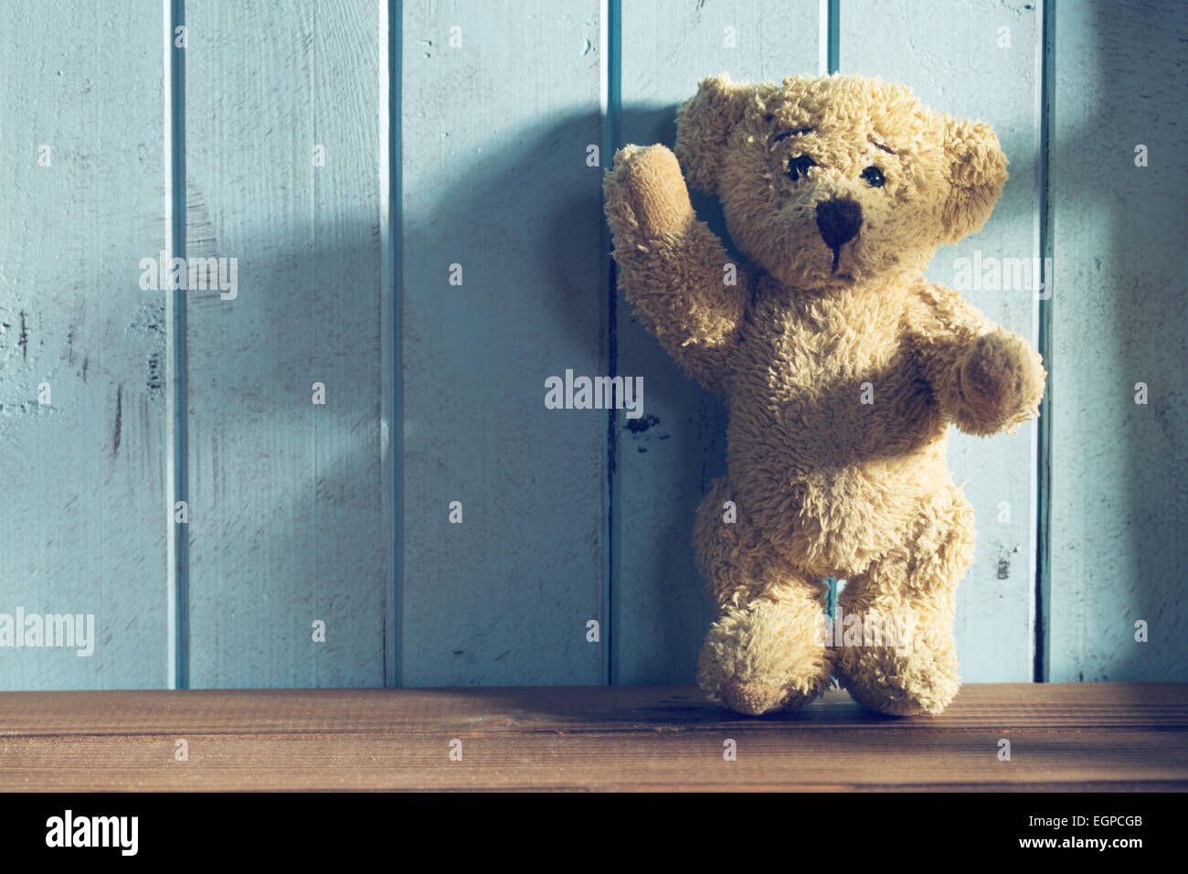 the teddy bear stands in front of a blue wall Stock Photo