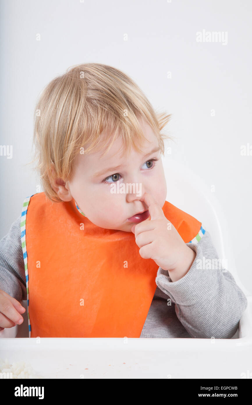 blonde caucasian baby seventeen month age orange bib grey sweater sitting on white high-chair eating with finger picking nose Stock Photo