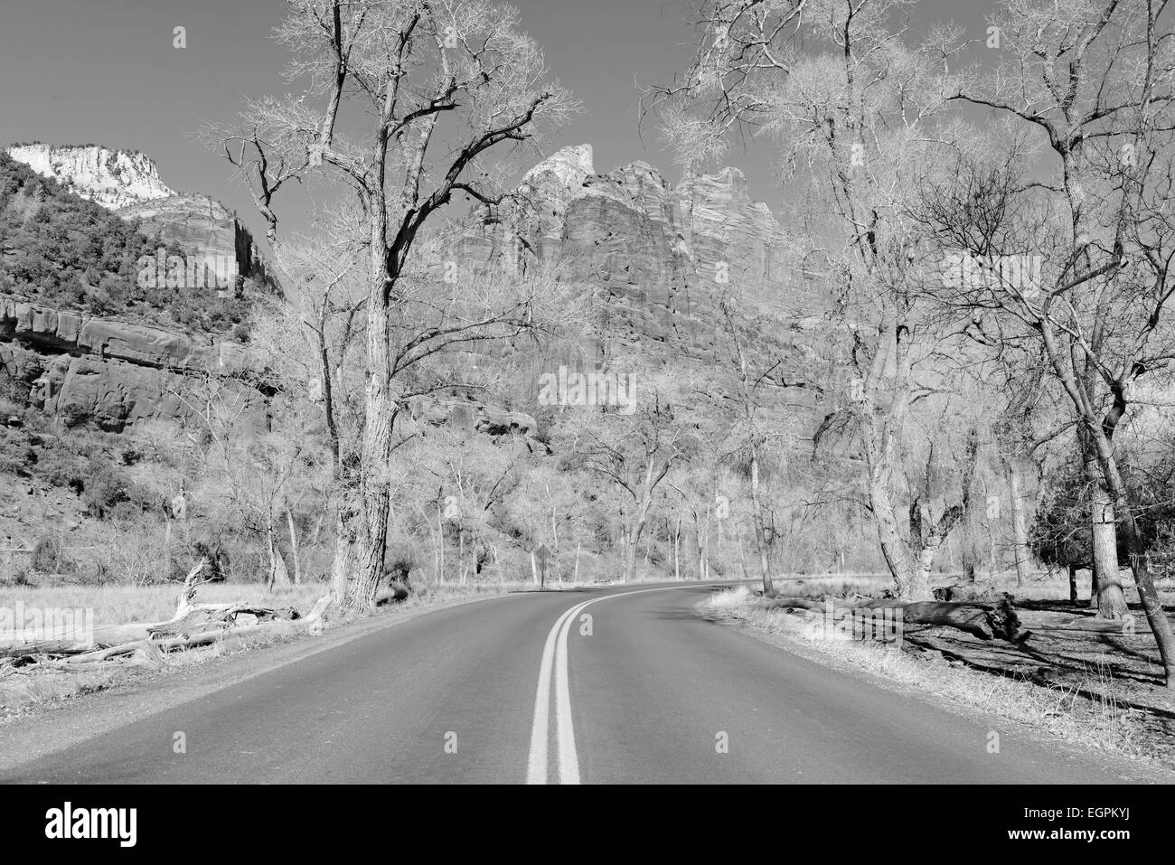 Zion National Park, Utah, USA Stock Photo Alamy