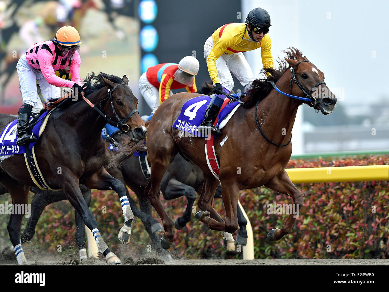 Copano Rickey Fuchu, Tokyo, Japan. 22nd Feb, 2015. (R-L) Copano Rickey (Yutaka Take ...