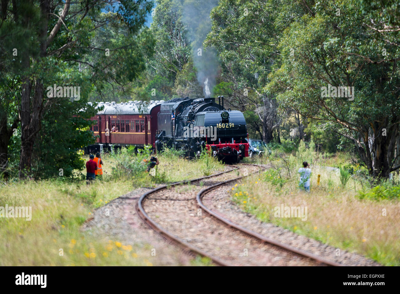 Sydney, Australia. 1st March, 2015. Rail fans watch as the gigantic 260t Beyer-Garratt locomotive 6029 'City of Canberra' pulls a heritage shuttle train with ease up the steep grade between Picton and Thirlmere Railway Stations south of Sydney.  on March 01, 2015 in Thirlmere, Australia. Credit:  MediaServicesAP/Alamy Live News Stock Photo