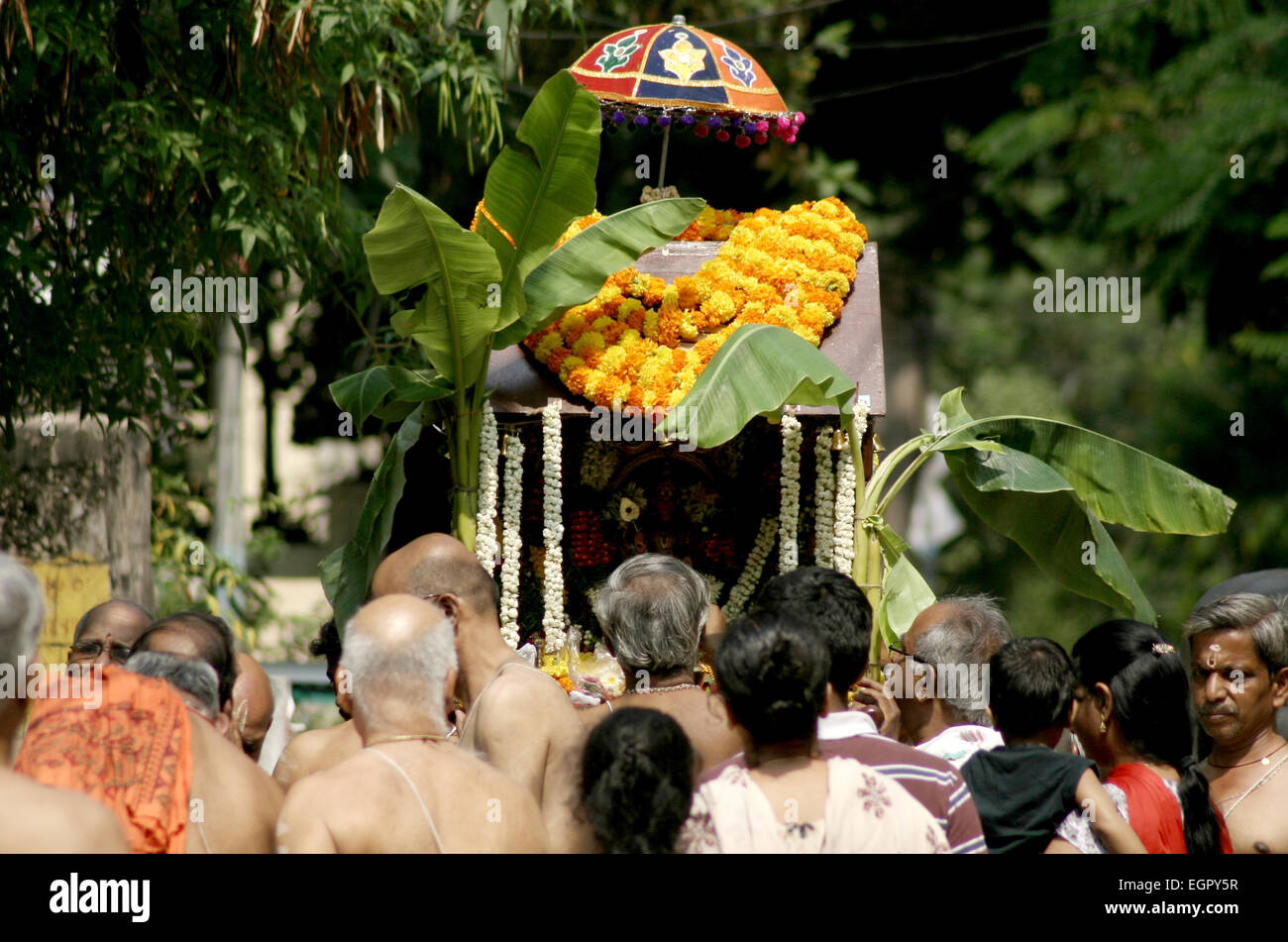 Hindu devotees take procession of lord Subramanya swamy in the streets with murugan kavadi in Hyderabad,India on April 13,2014. Stock Photo