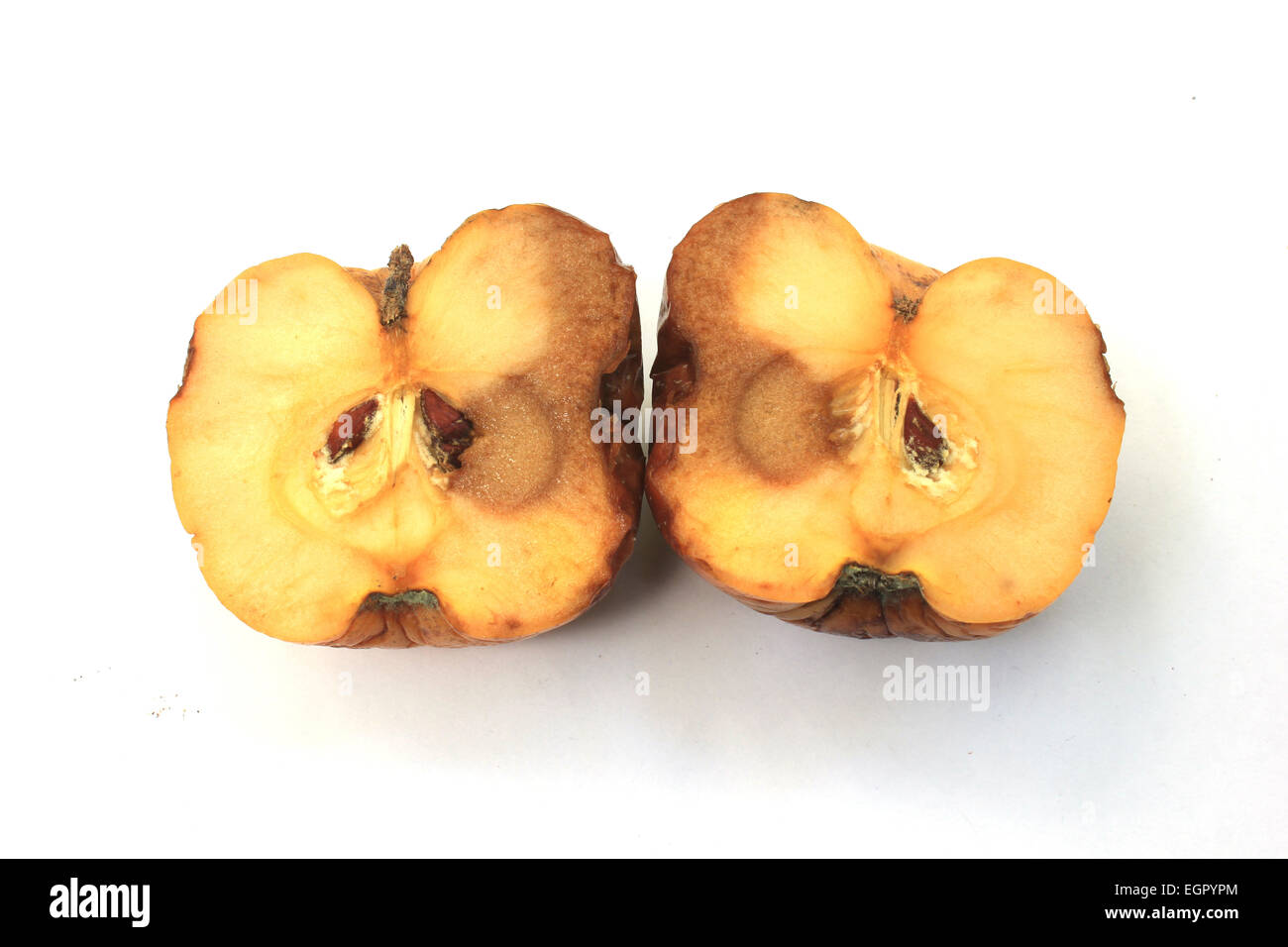 Rotten or decaying apple in white background Stock Photo
