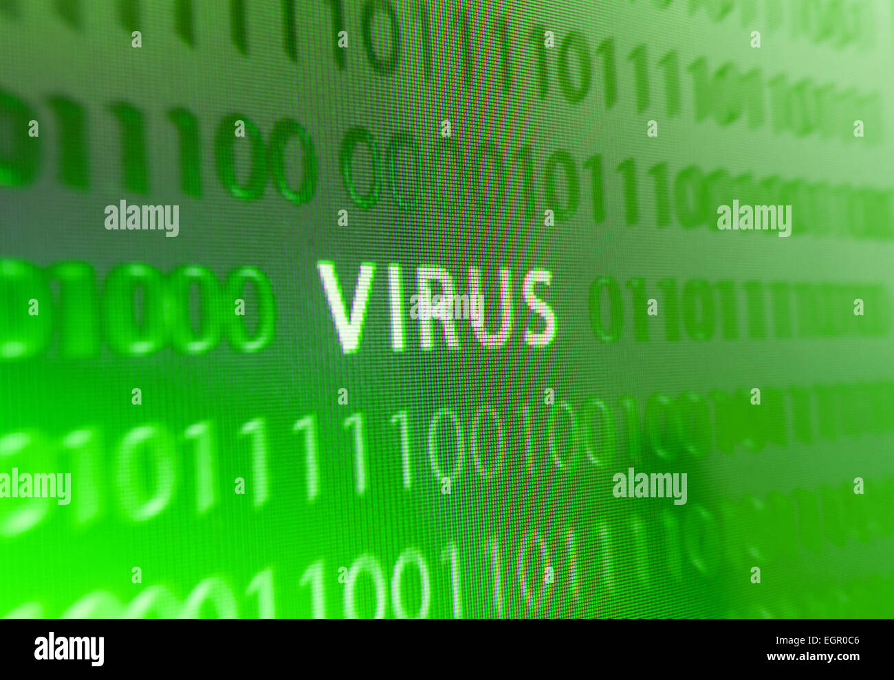 Inscription virus on green computer screen or monitor Stock Photo