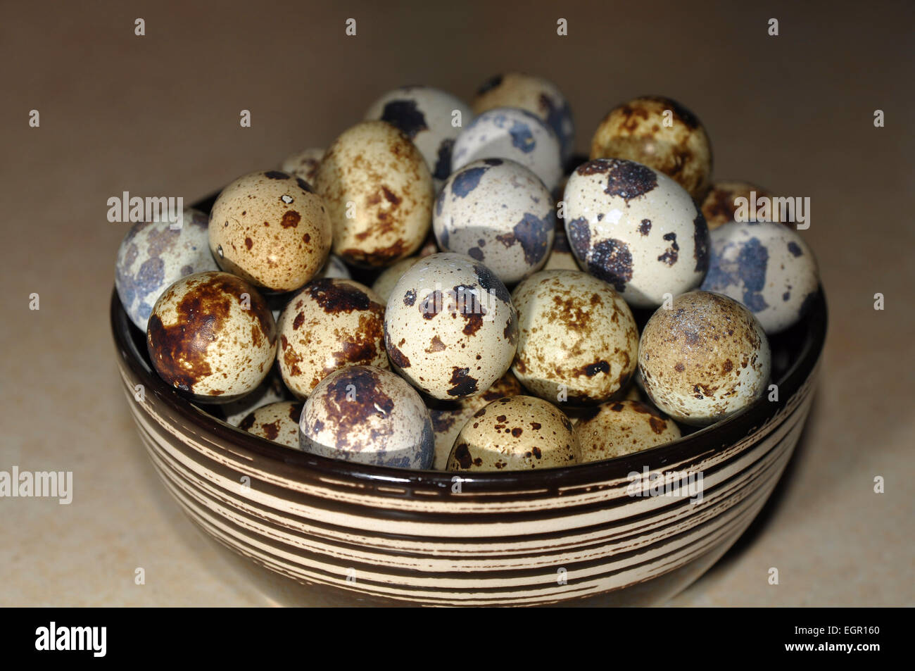 Egg laying birds hires stock photography and images Alamy