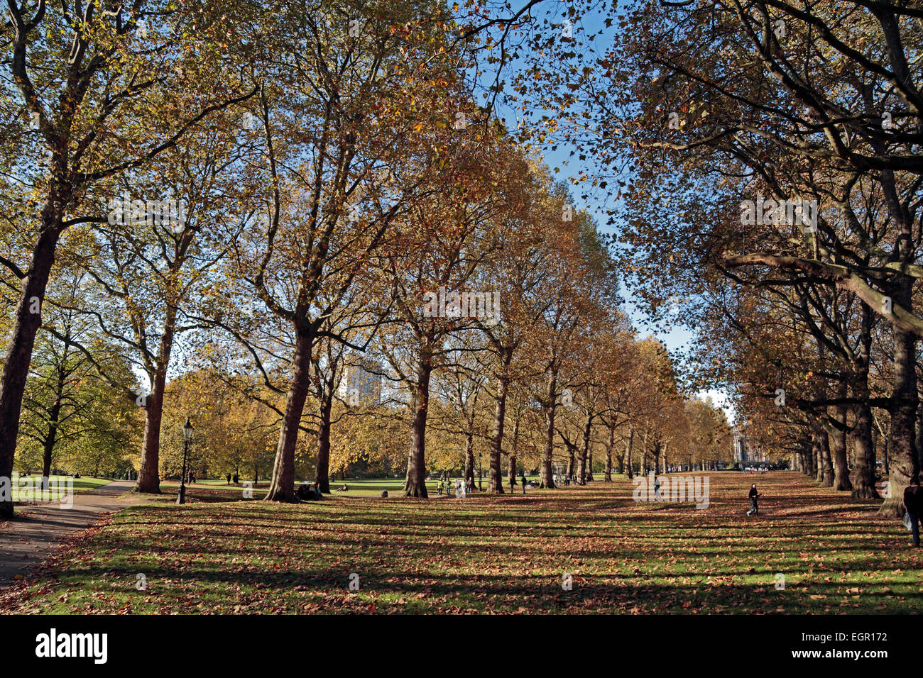 Green park london uk hi-res stock photography and images - Alamy
