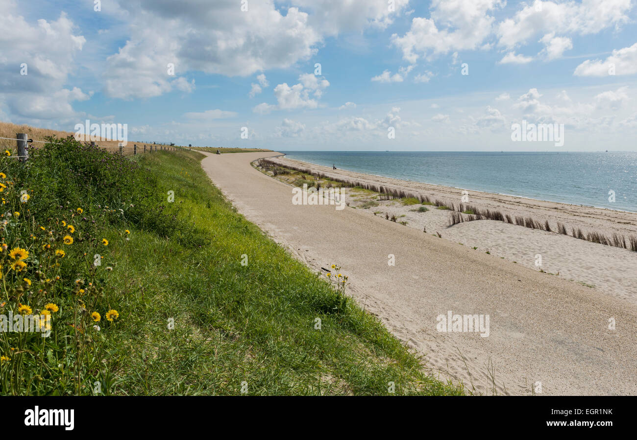 Great dike at the Wadden Sea near the village of Oudeschild on the isle of Texel. Stock Photo