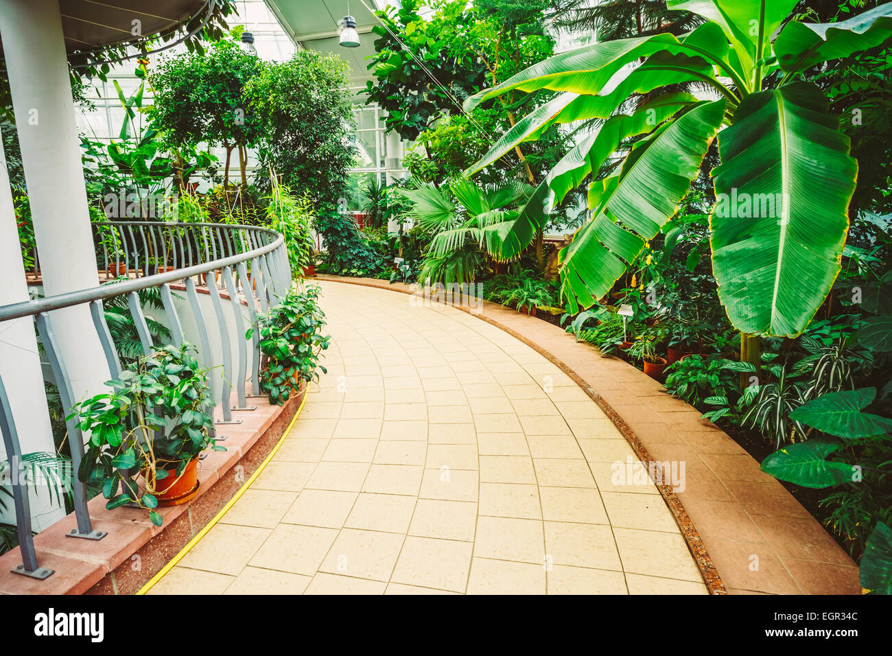 Greenhouse With Flowers And Plants. Temperate House Conservatory, Botanical Gardens. Stock Photo