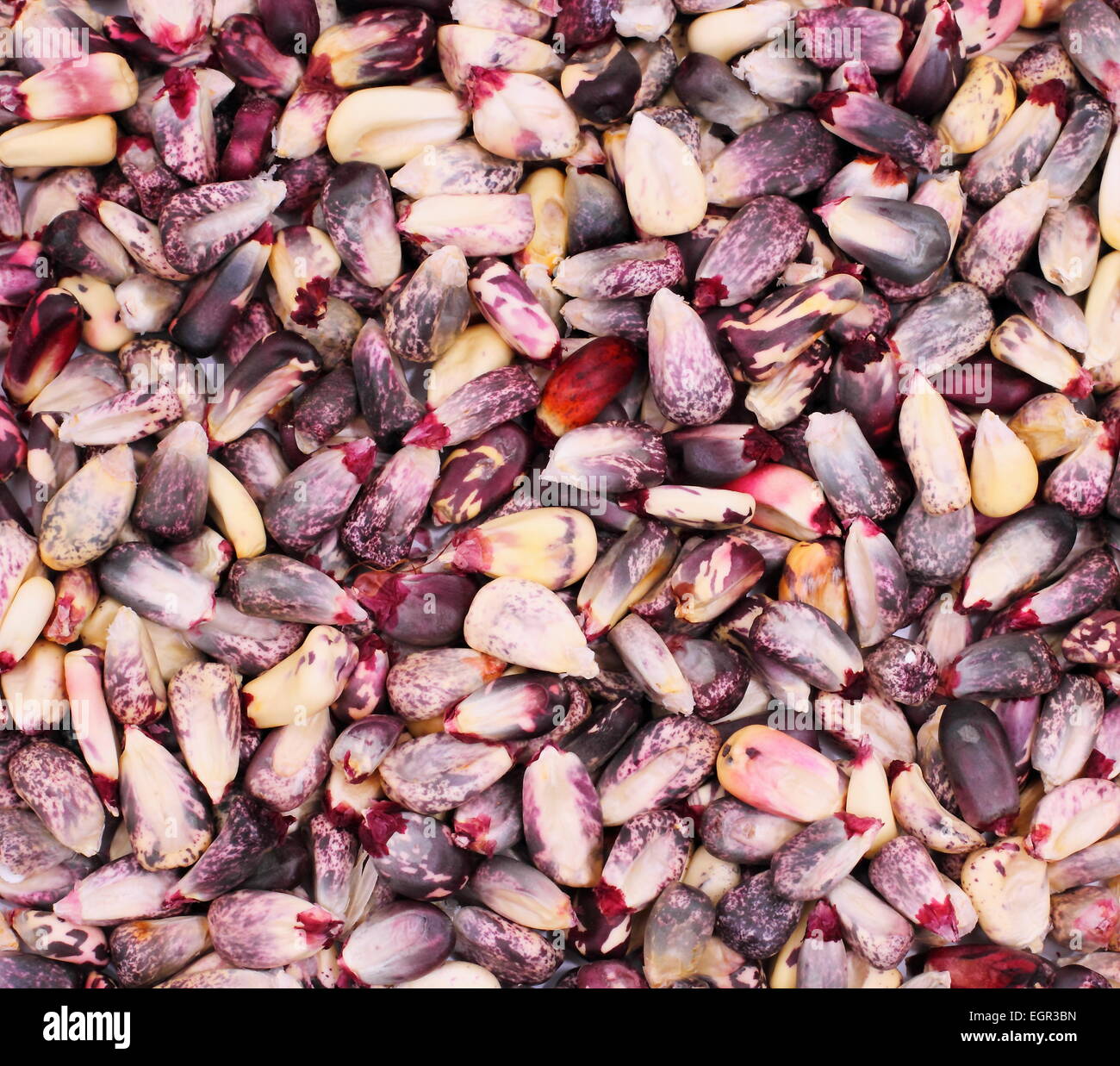 Rose and red corn kernels as background Stock Photo