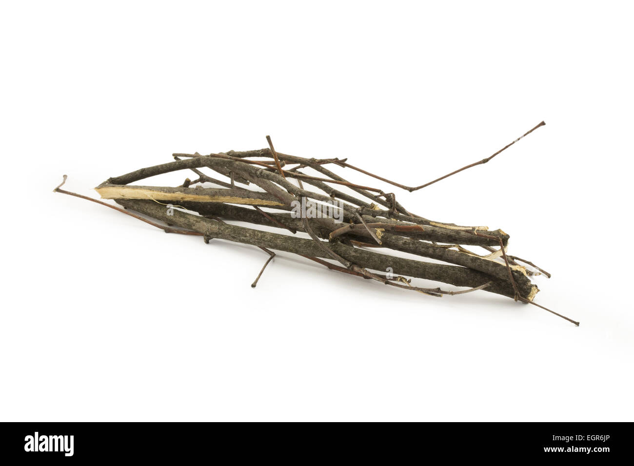 brushwood isolated on white background Stock Photo Alamy