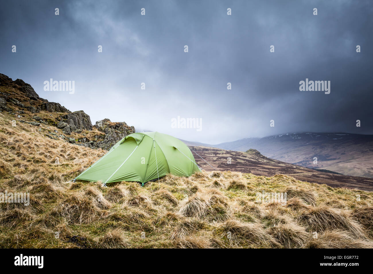 Anita Nicholson High Resolution Stock Photography And Images Alamy