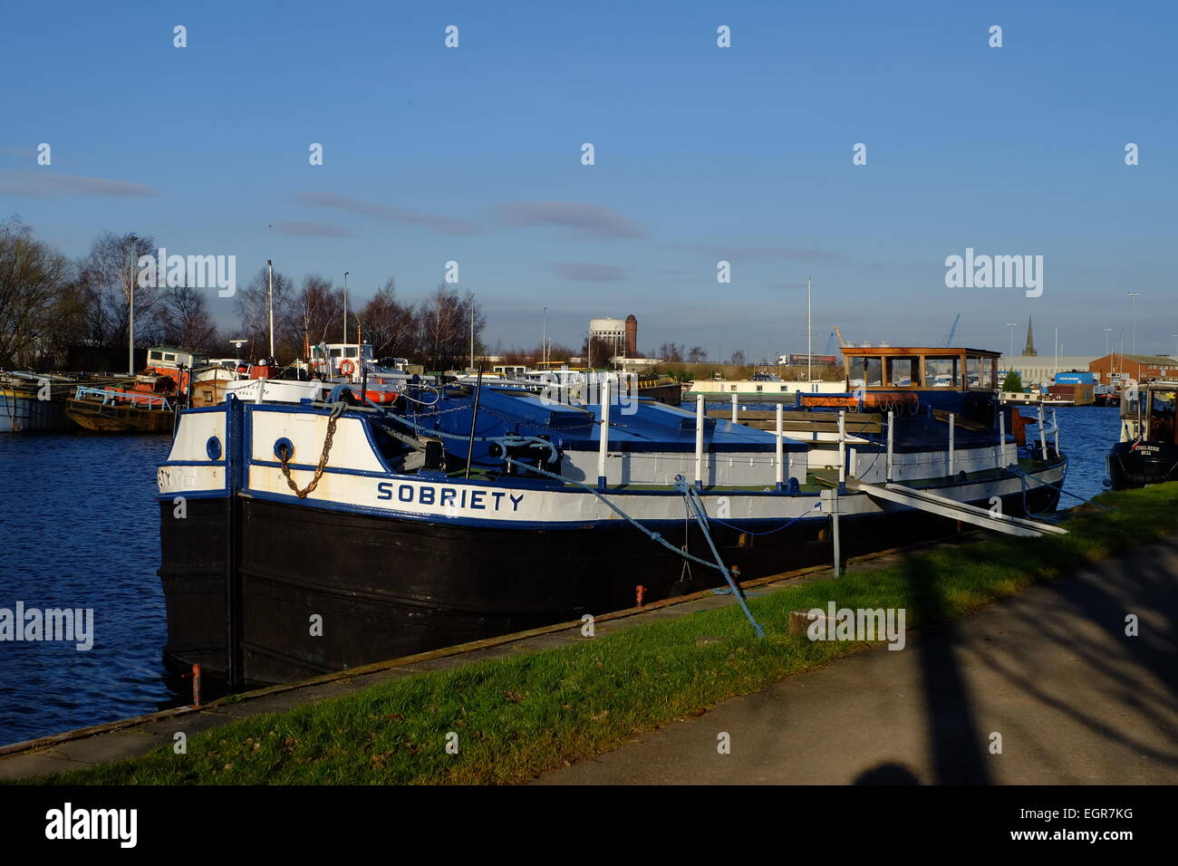 Sobriety Goole. Stock Photo