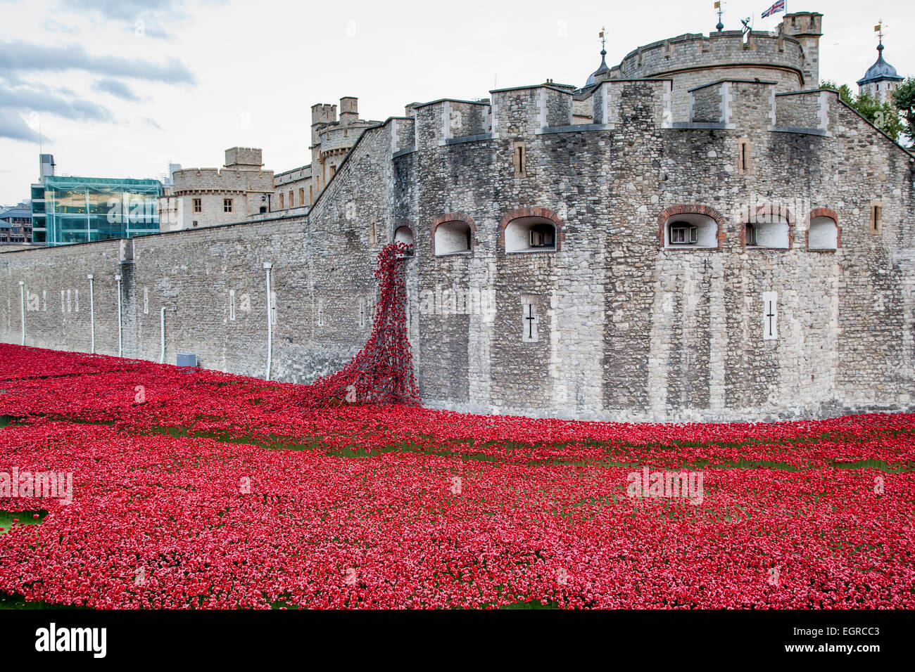 Tower of London poppies Stock Photo