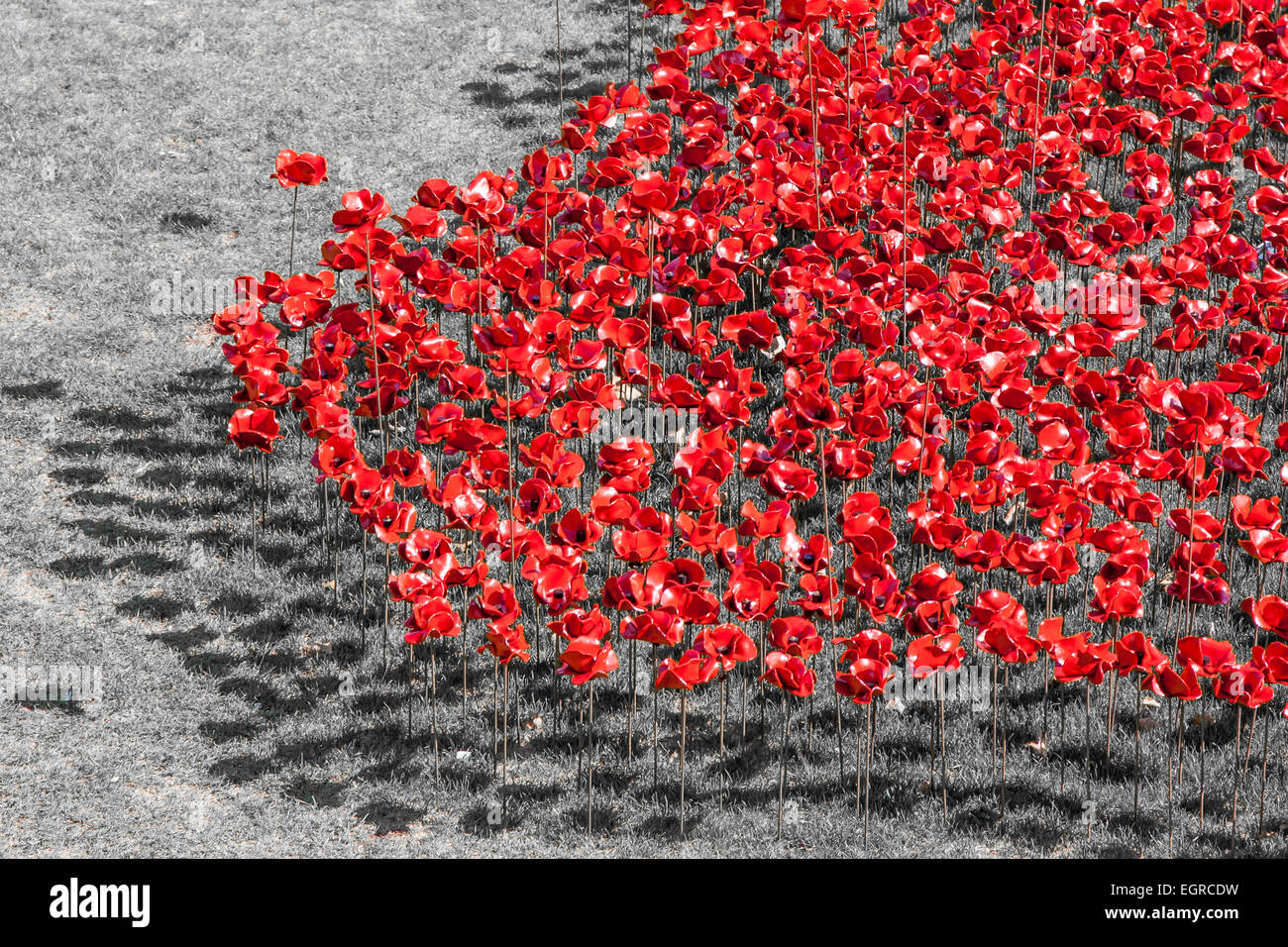 Tower of London poppies Stock Photo