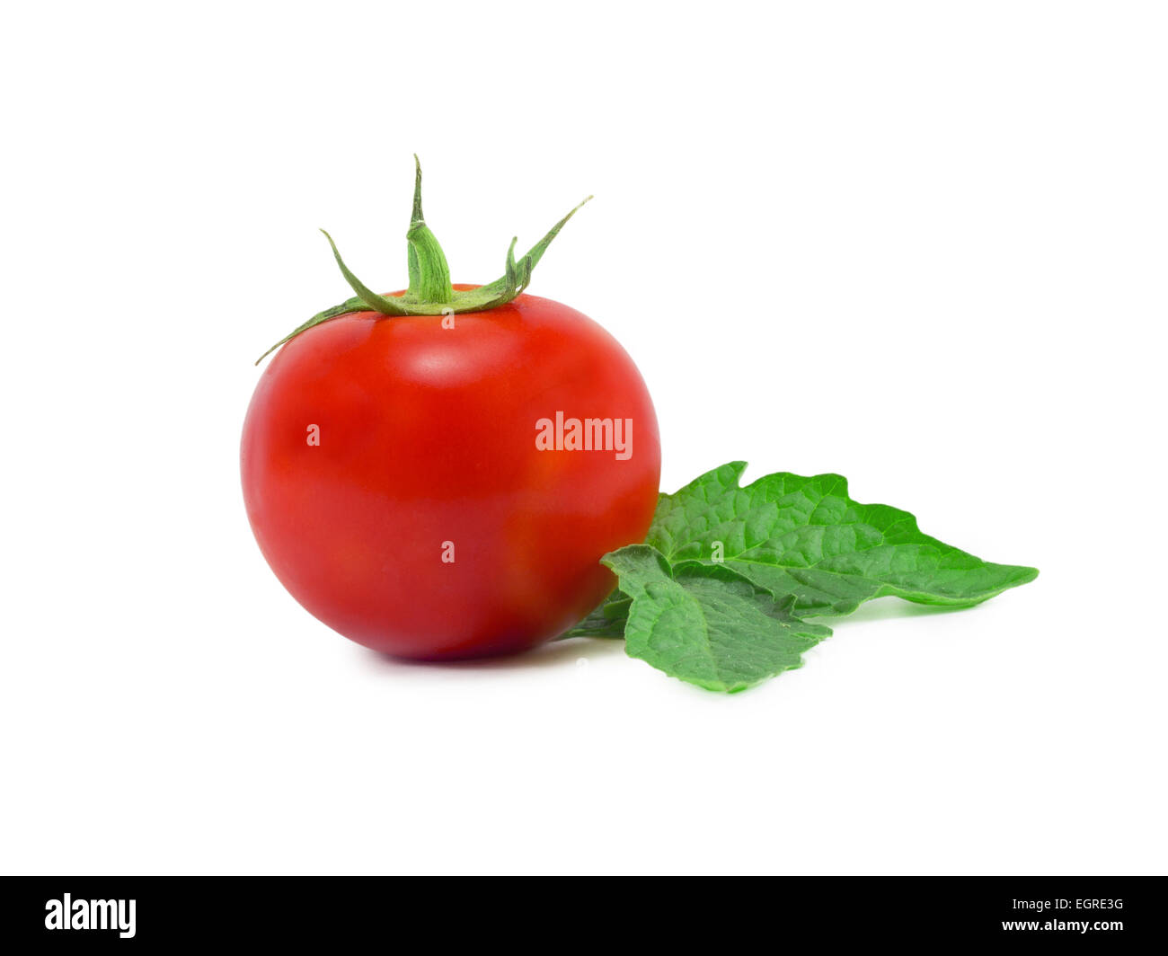 Three red tomatoes with a leaf on a white background Stock Photo - Alamy