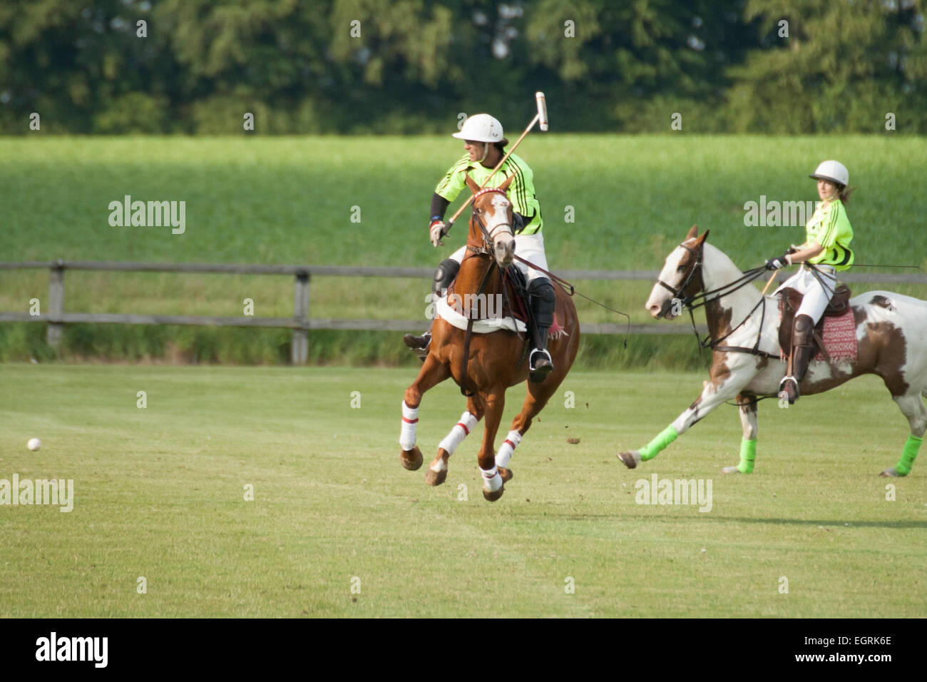 Polo match at Dullingham Polo Club newmarket Stock Photo Alamy