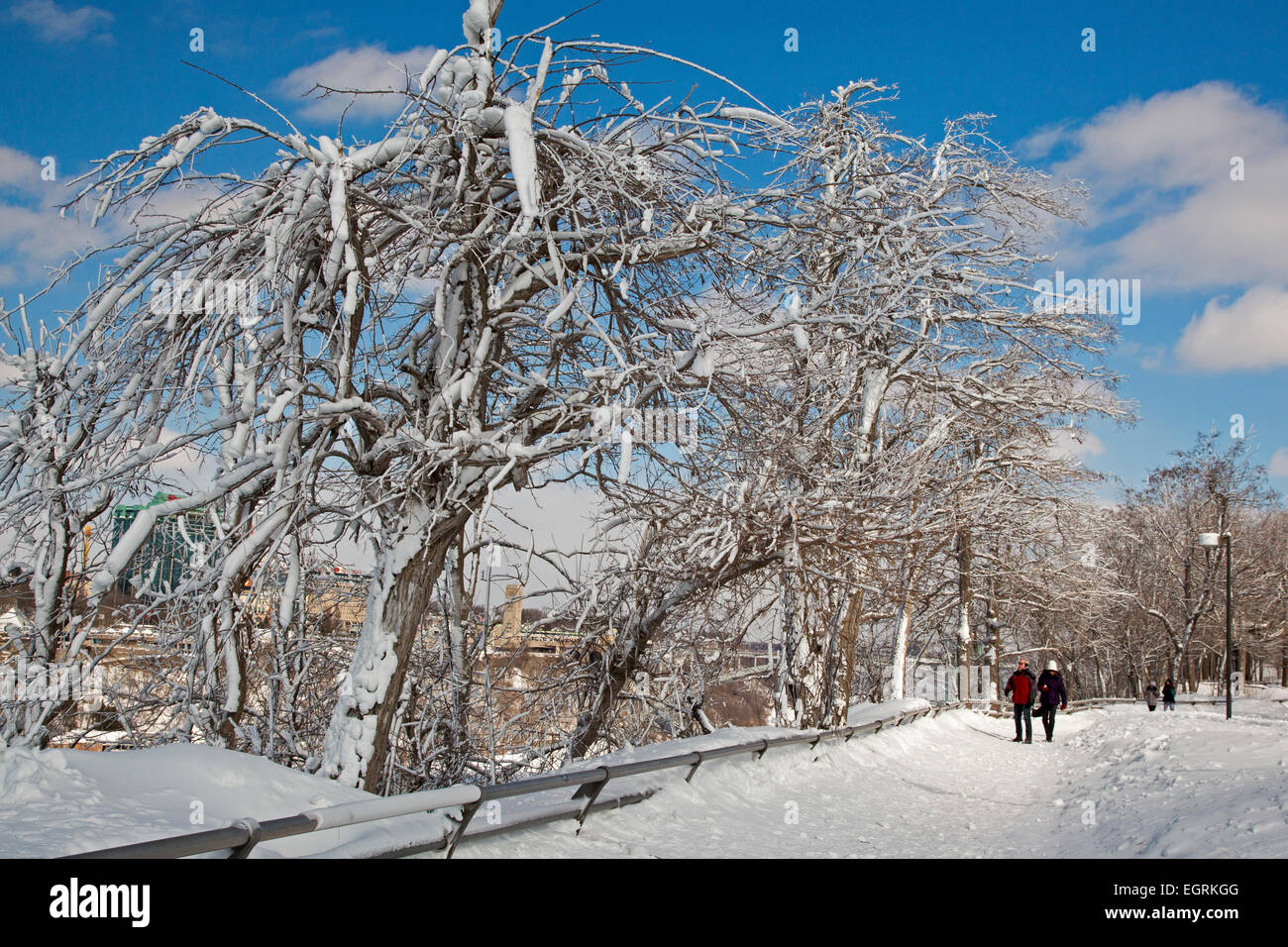 Niagara Falls, New York - Visitors to Niagara Falls State Park walk past trees coated with ice from the Falls. Stock Photo
