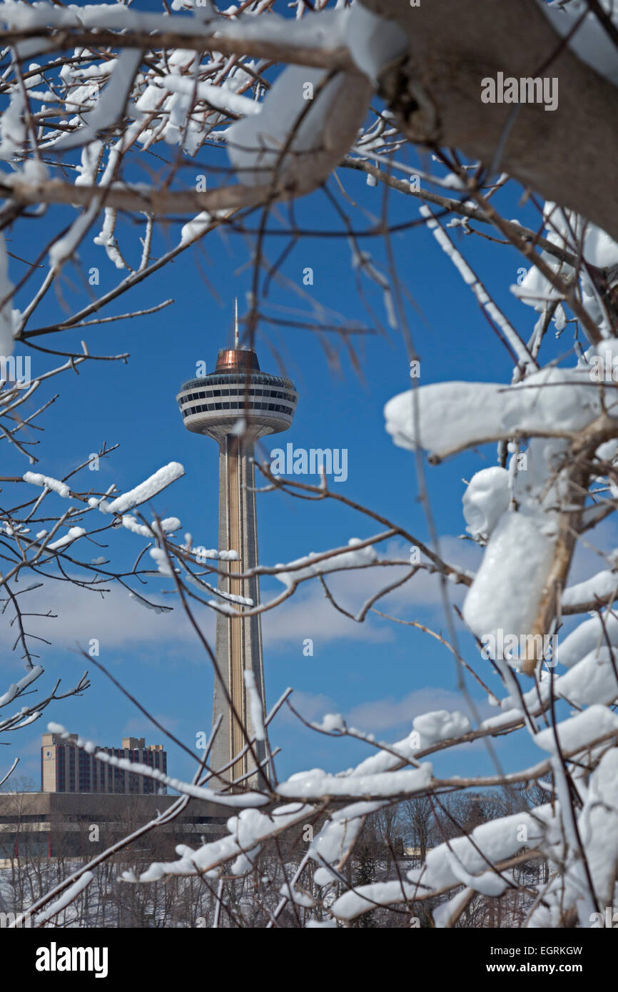 Niagara Falls, New York - A tree coated in ice from spray from Niagara Falls frames the Skylon Tower. Stock Photo