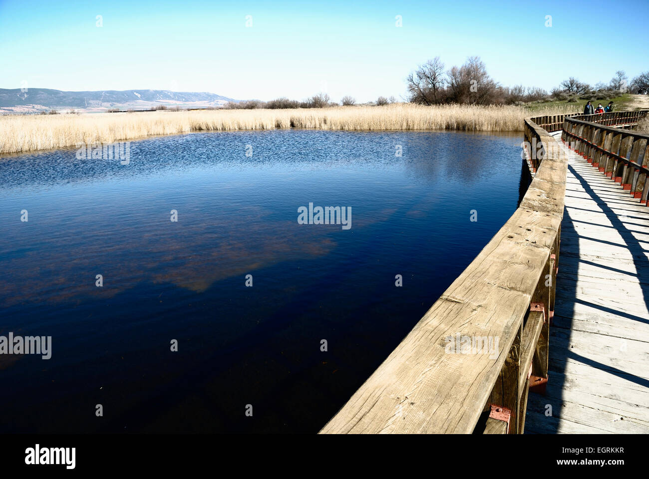 Natural National Park Tablas de Daimiel in Ciudad Real, Spain Stock Photo Alamy