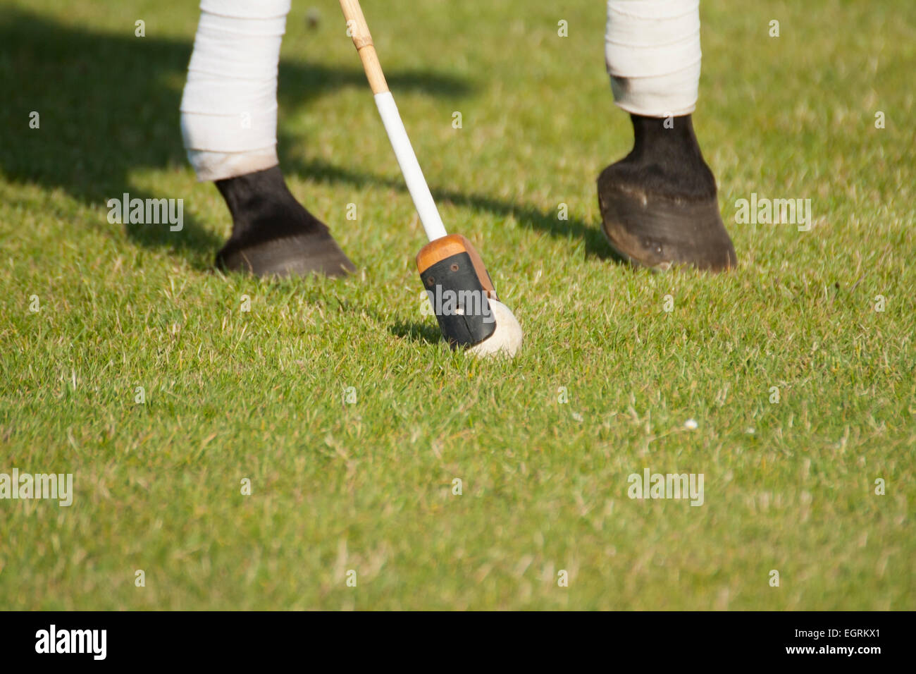 Aristocracy ball hi-res stock photography and images - Alamy