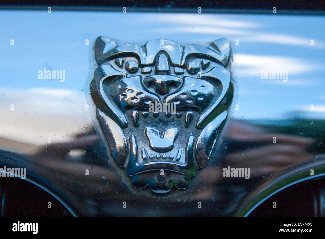 Jaguar Car front badge with cats face Stock Photo - Alamy